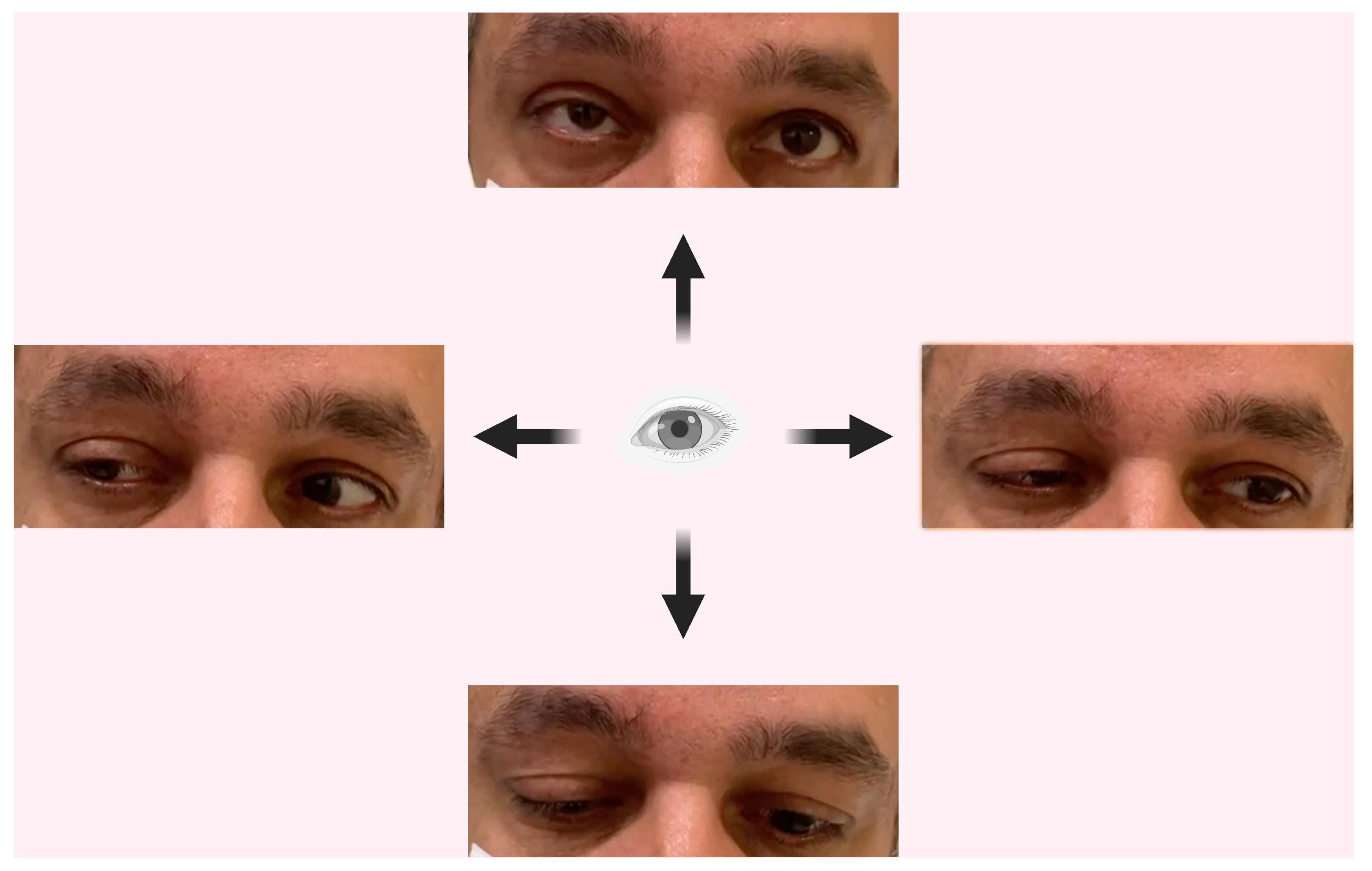 Pathogens 13 00832 g003