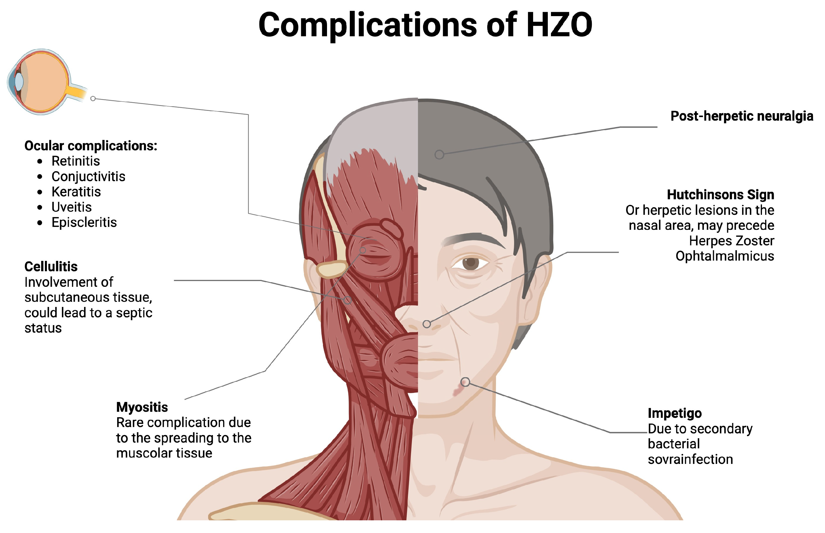 Pathogens 13 00832 g005