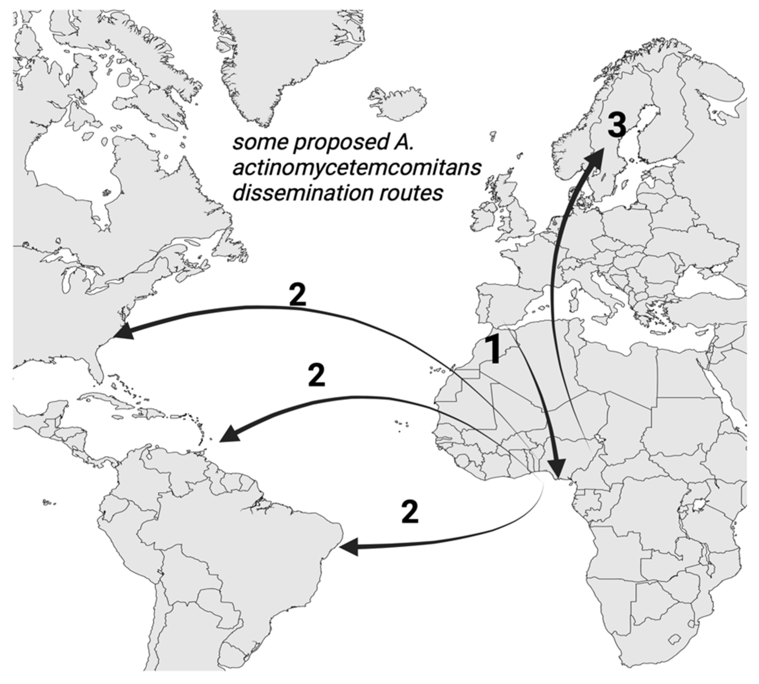 Pathogens 13 00837 g001