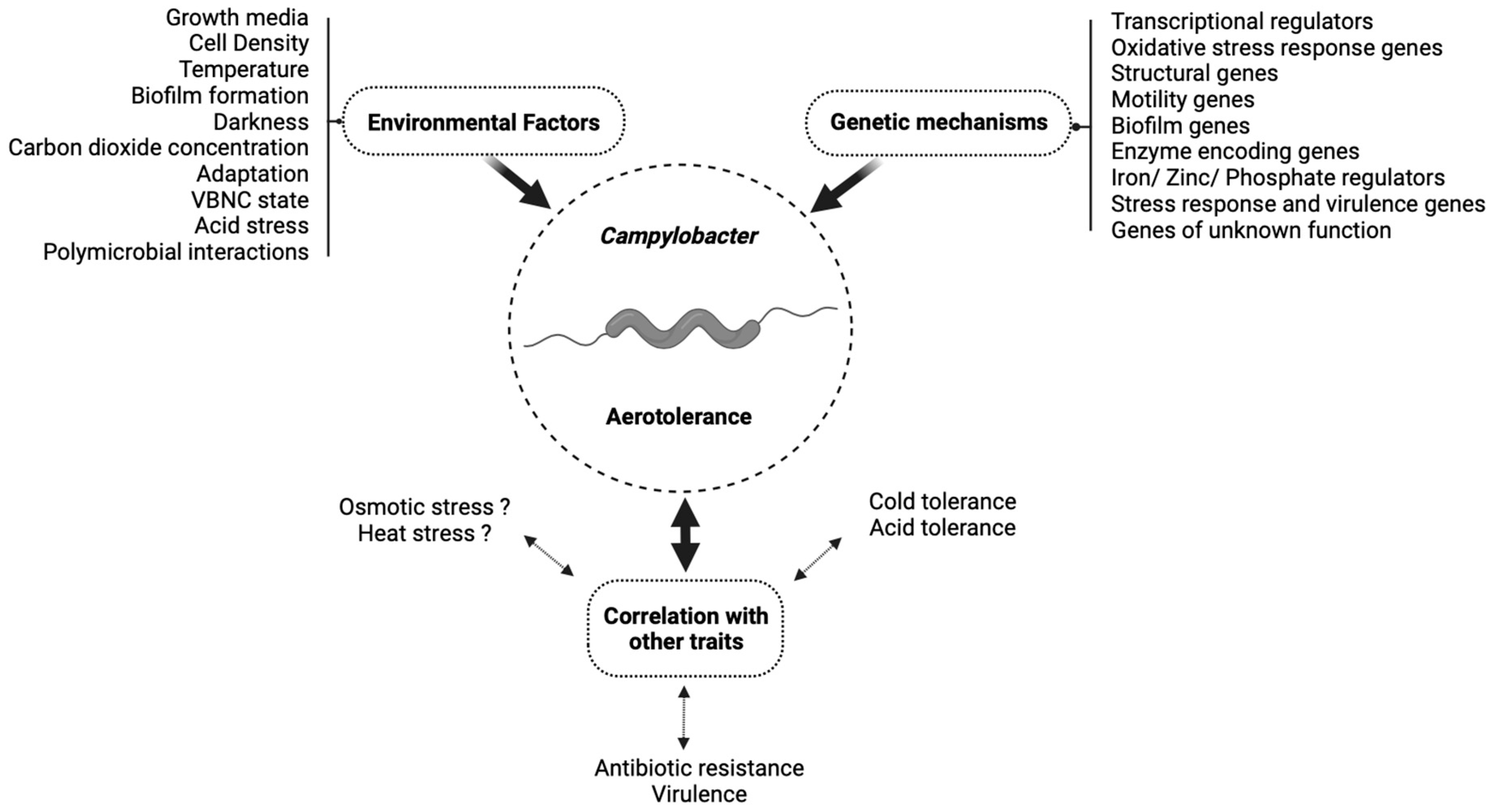 Pathogens 13 00842 g001