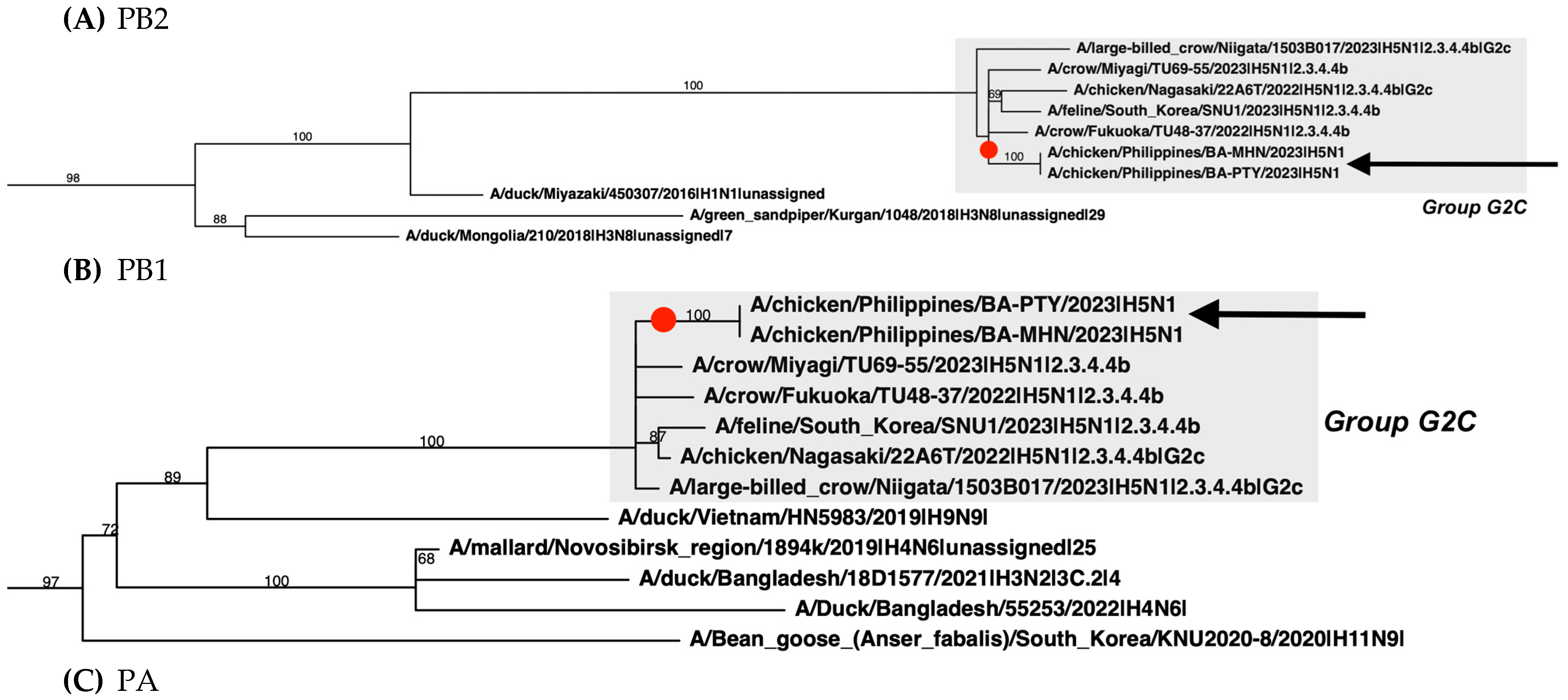 Pathogens 13 00844 g002a