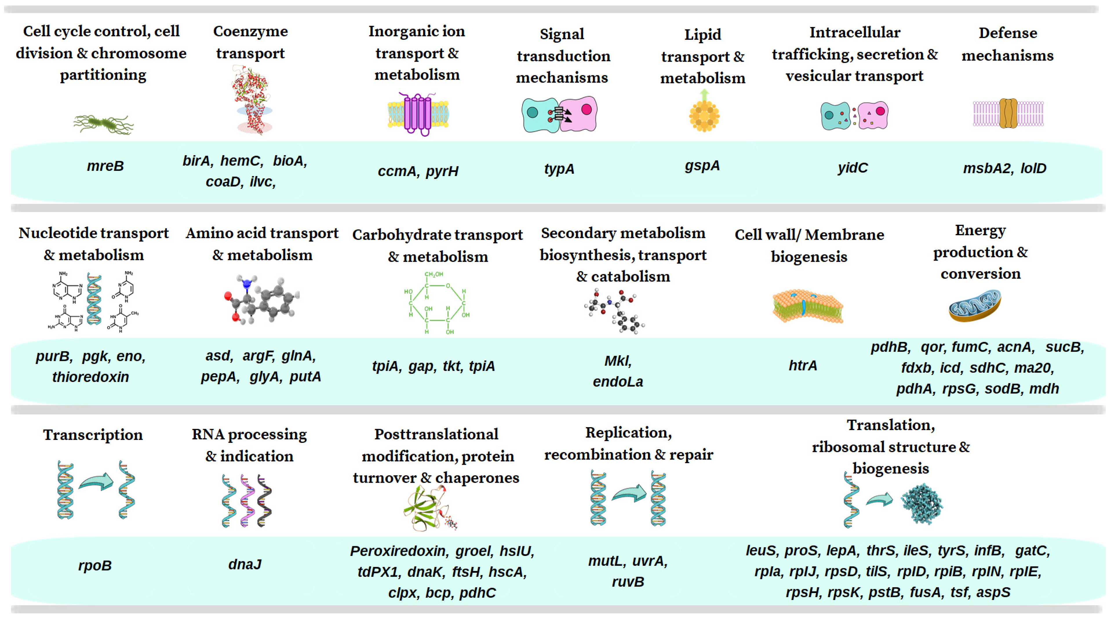 Pathogens 13 00845 g004