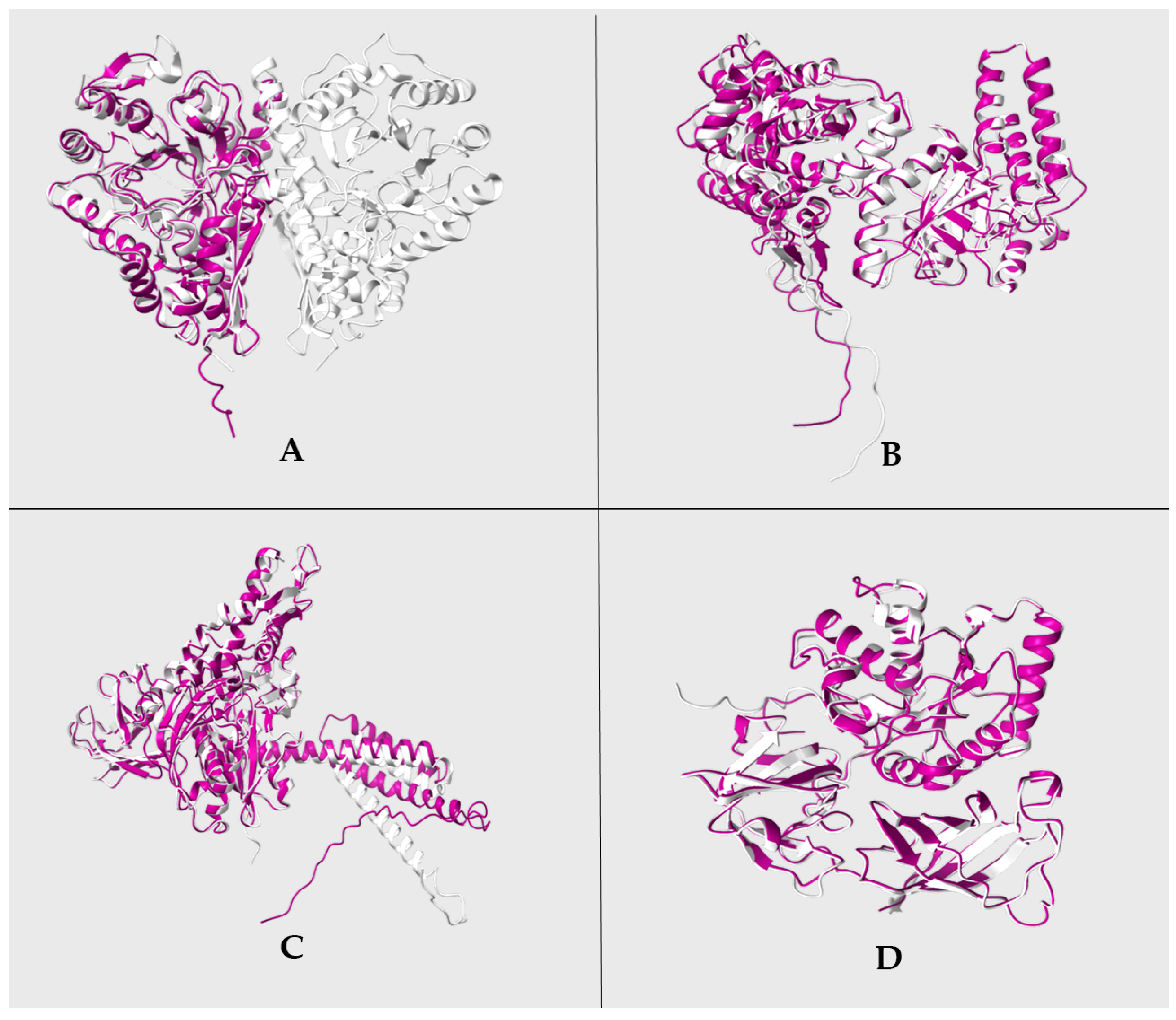 Pathogens 13 00845 g005