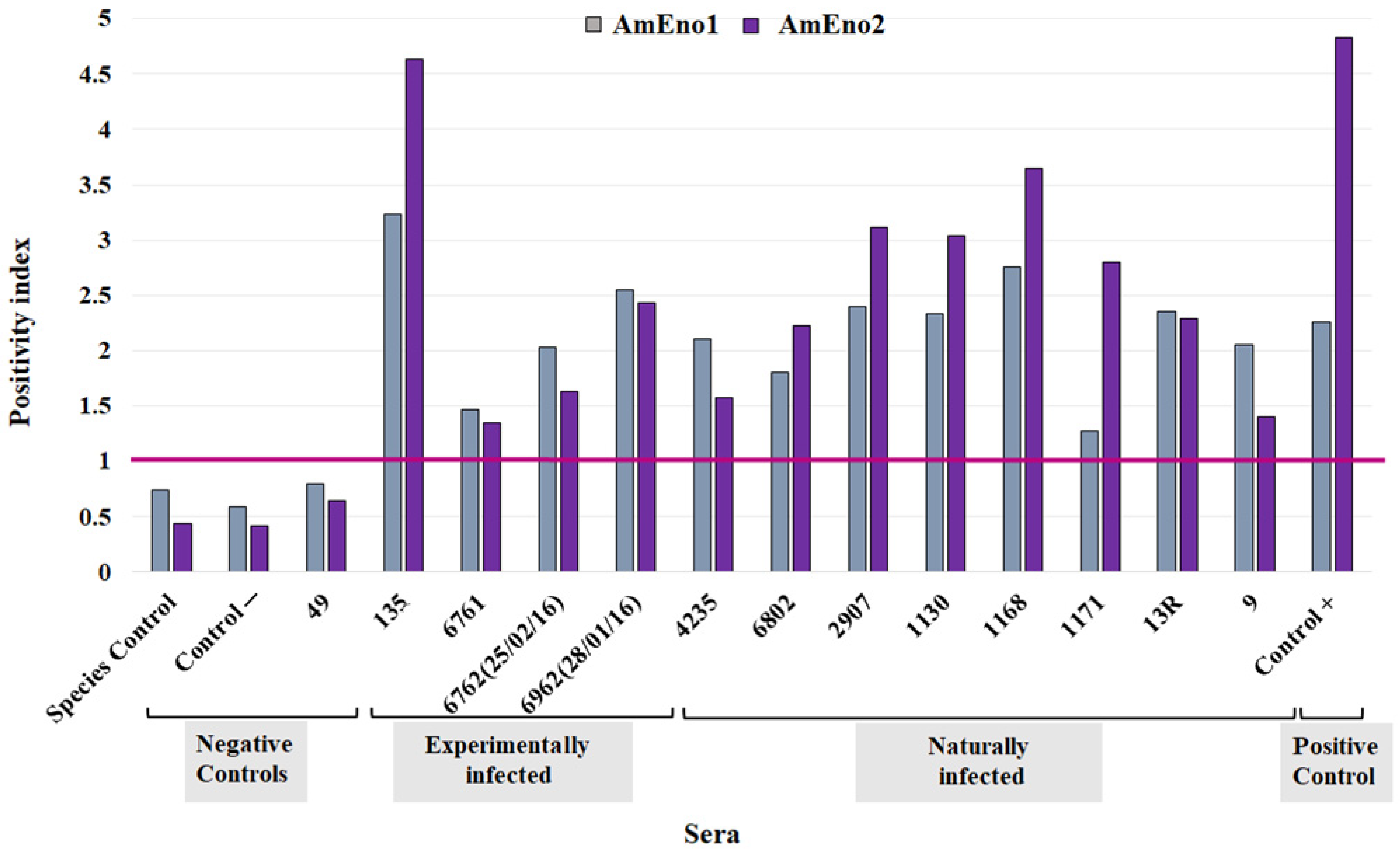 Pathogens 13 00845 g006