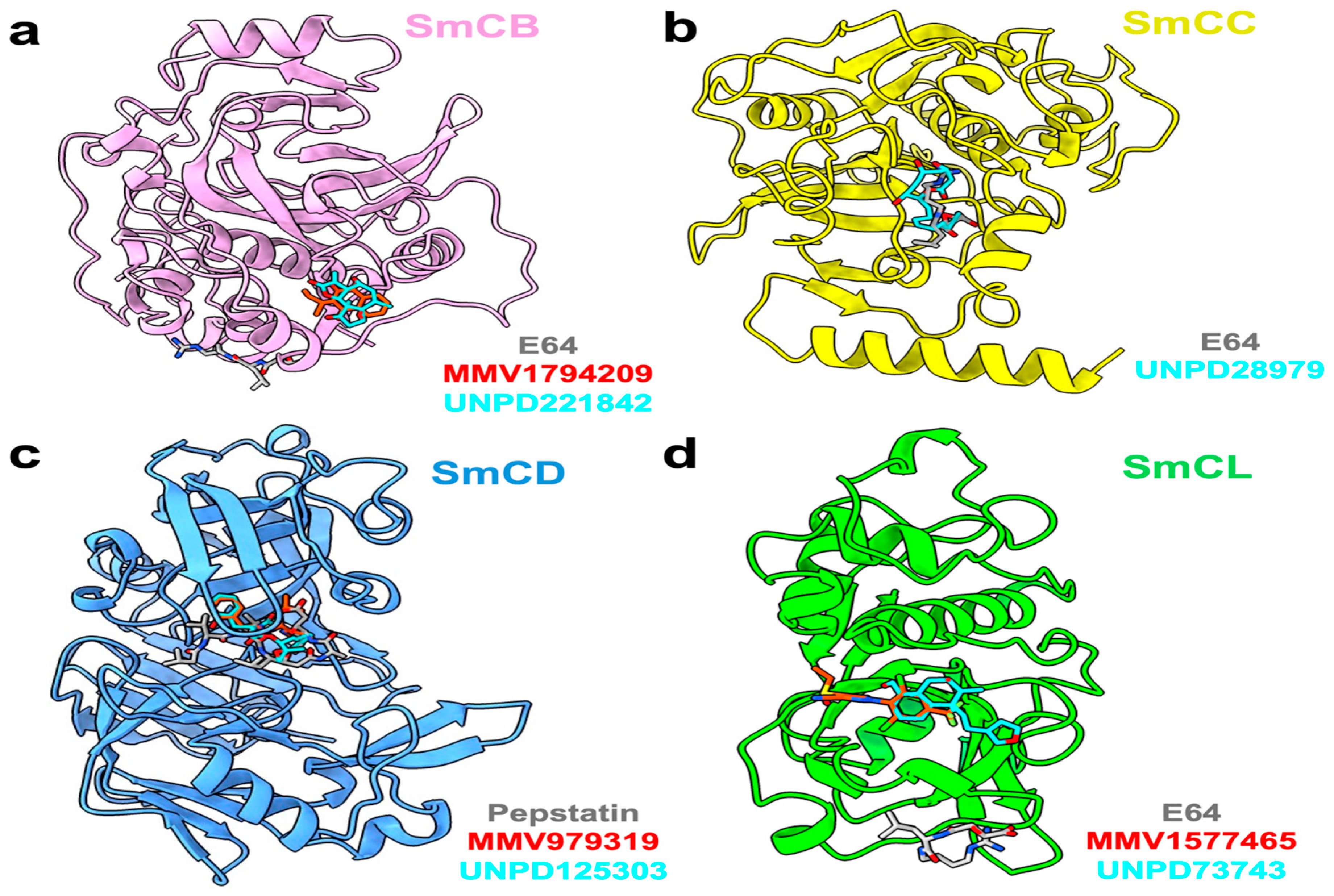 Pathogens 13 00850 g006 Pathogens 13 00850 g006