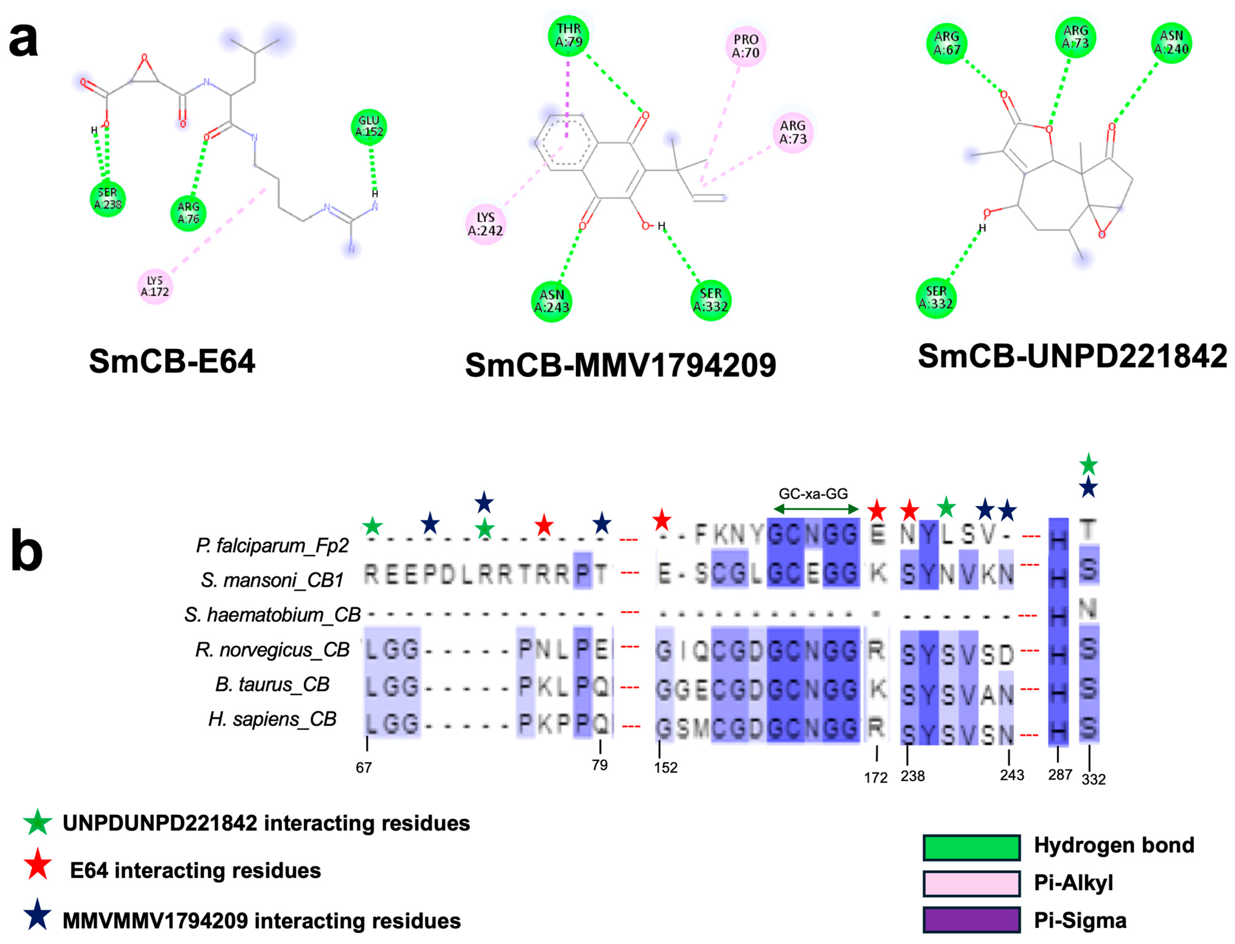 Pathogens 13 00850 g007 Pathogens 13 00850 g007