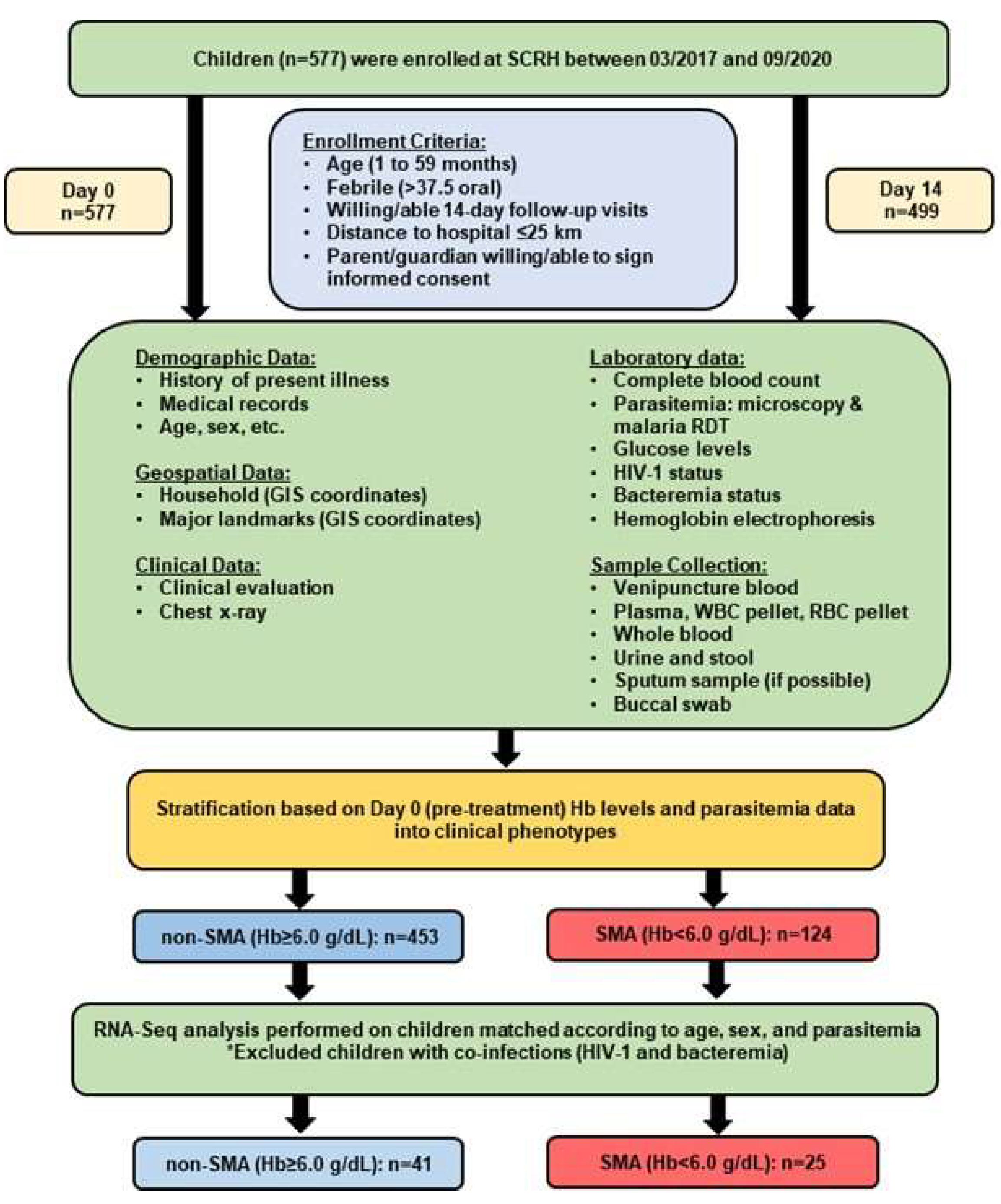 Pathogens 13 00867 g001