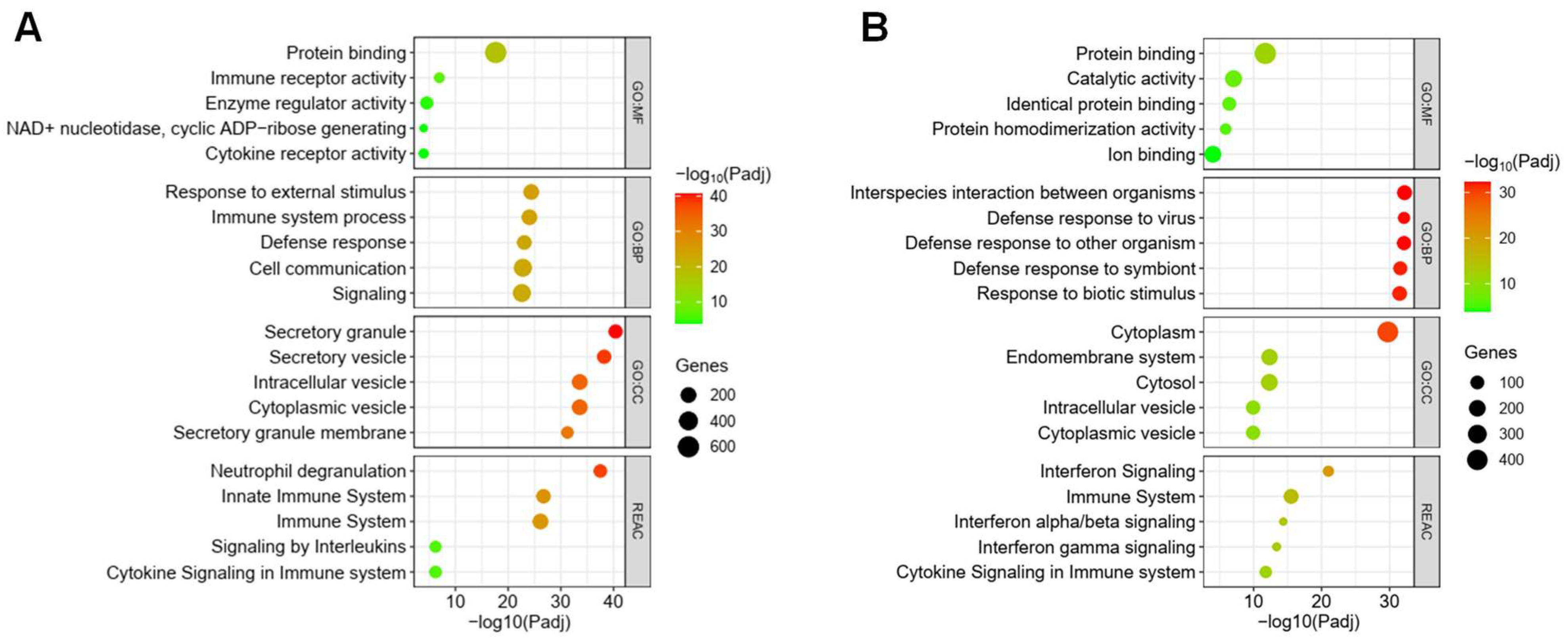 Pathogens 13 00867 g005