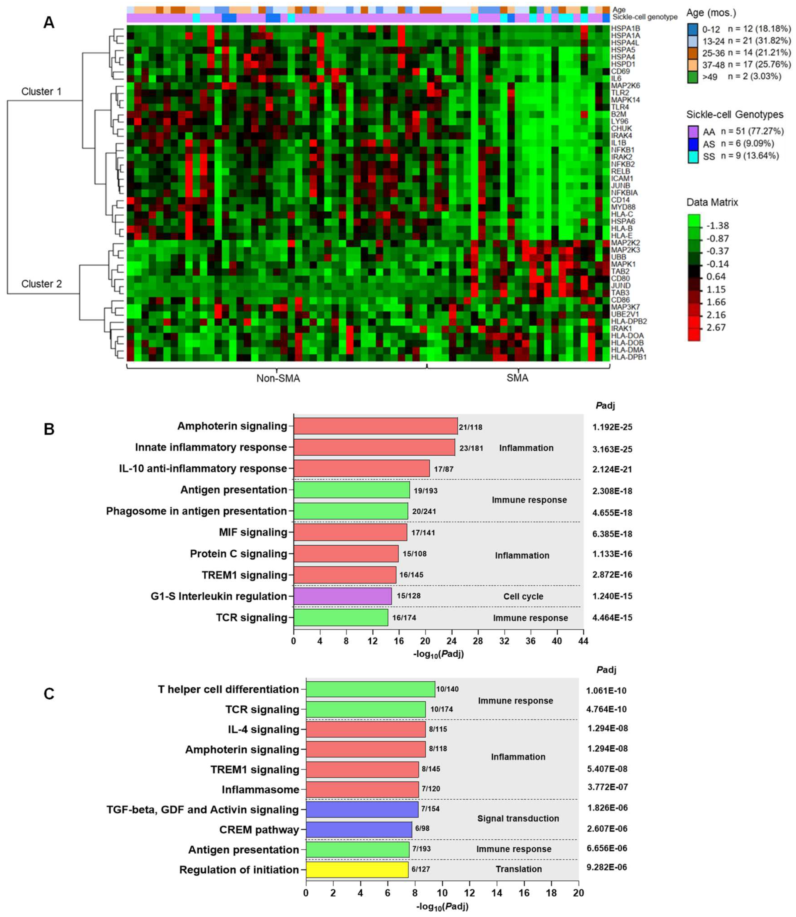 Pathogens 13 00867 g007