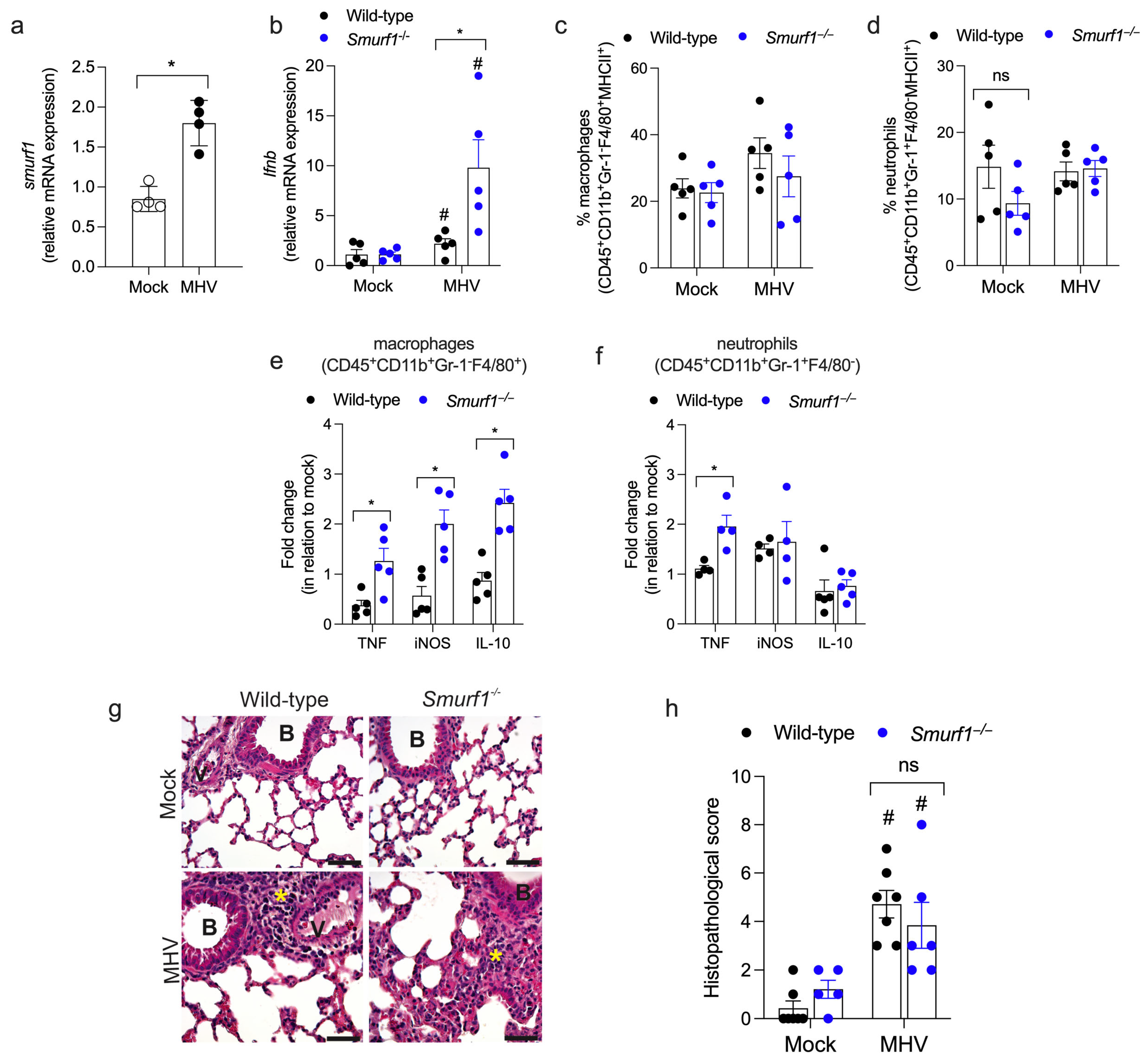 Pathogens 13 00871 g003