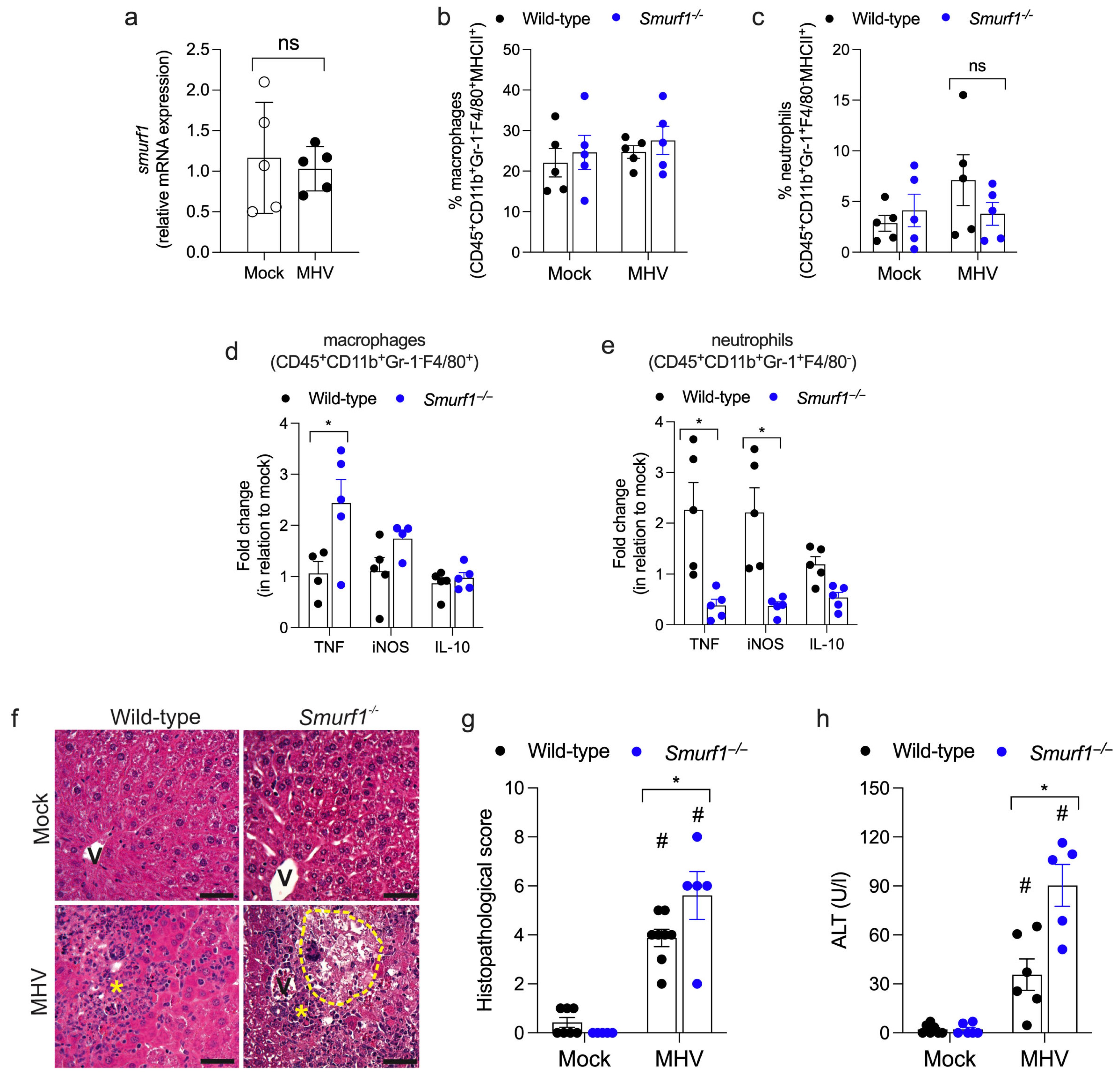 Pathogens 13 00871 g004