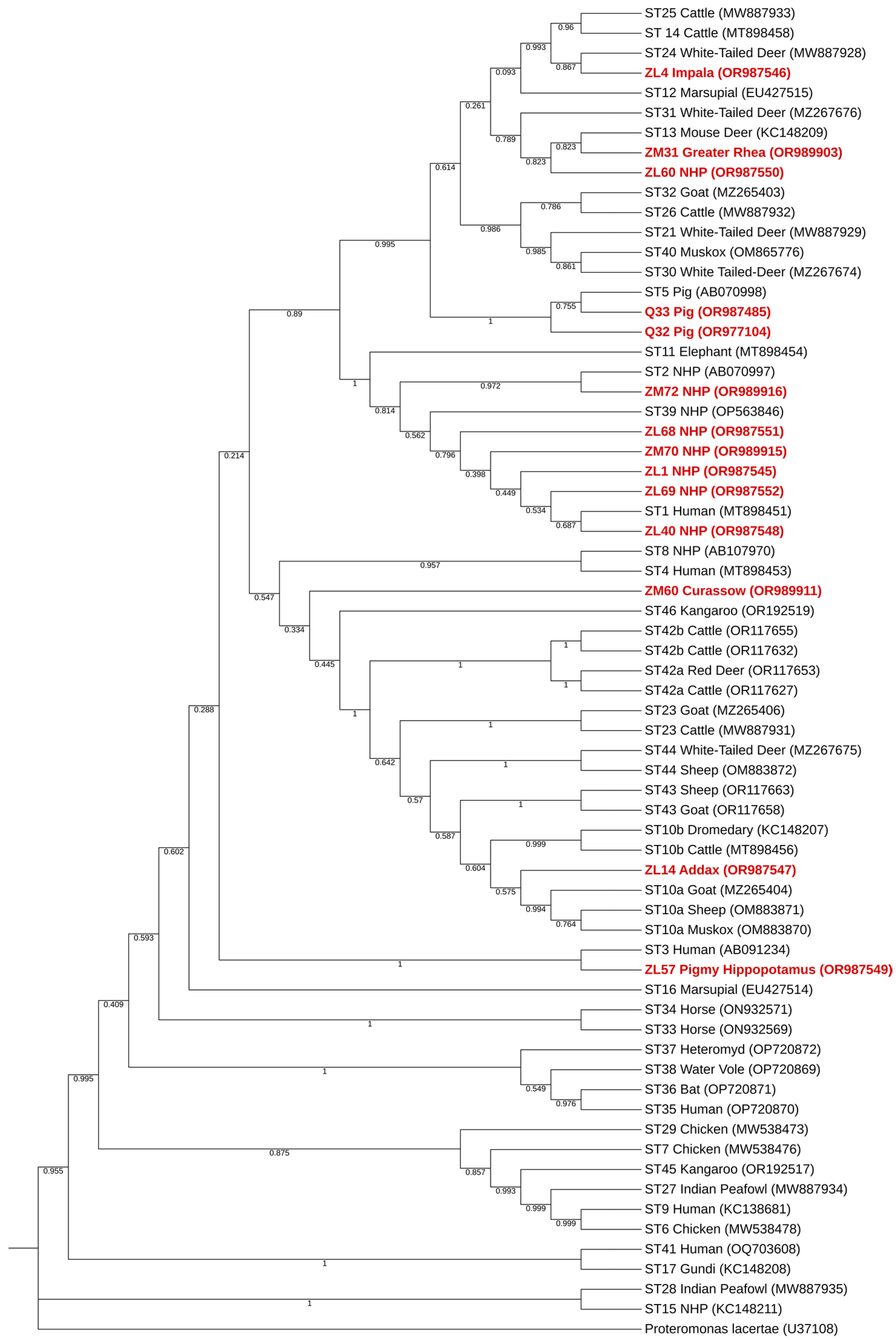 Pathogens 13 00874 g003 Pathogens 13 00874 g003