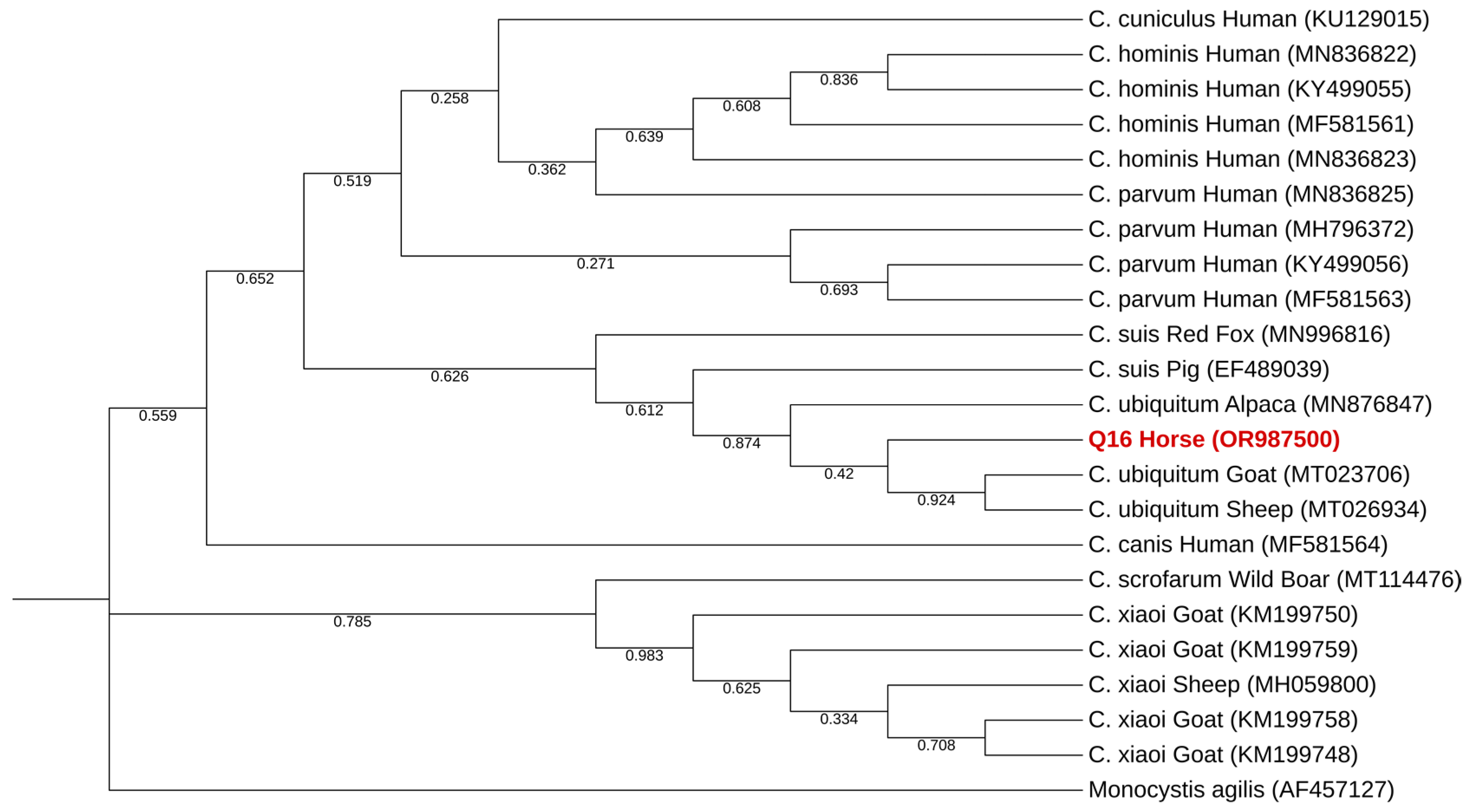 Pathogens 13 00874 g004 Pathogens 13 00874 g004