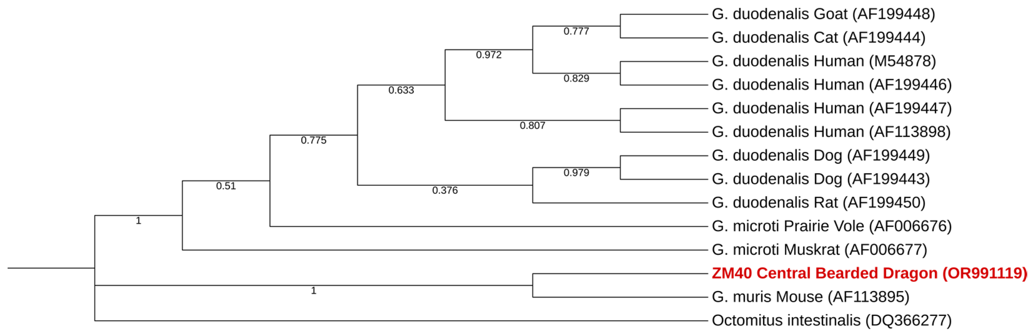 Pathogens 13 00874 g007 Pathogens 13 00874 g007