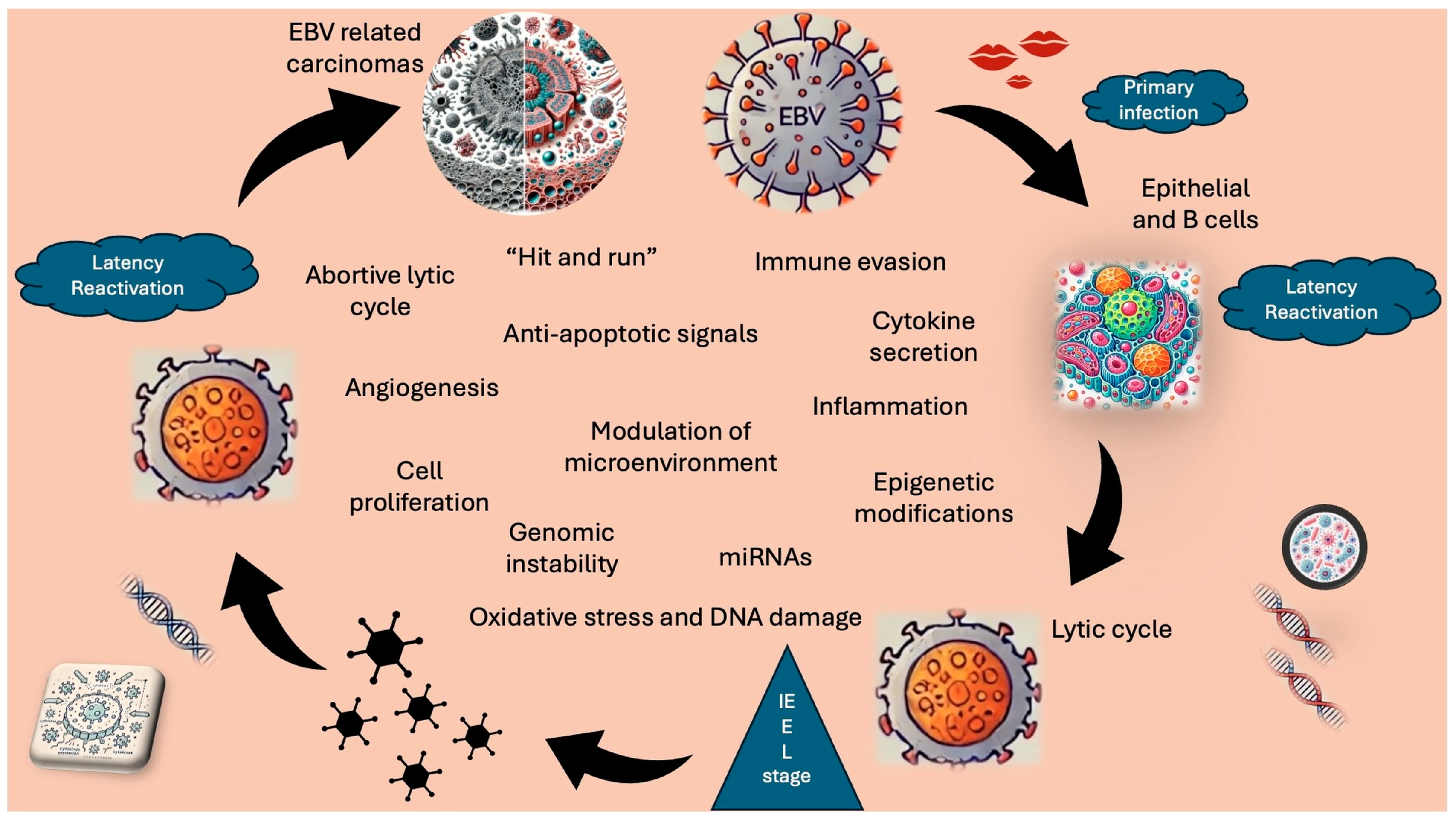 Pathogens 13 00876 g001 Pathogens 13 00876 g001