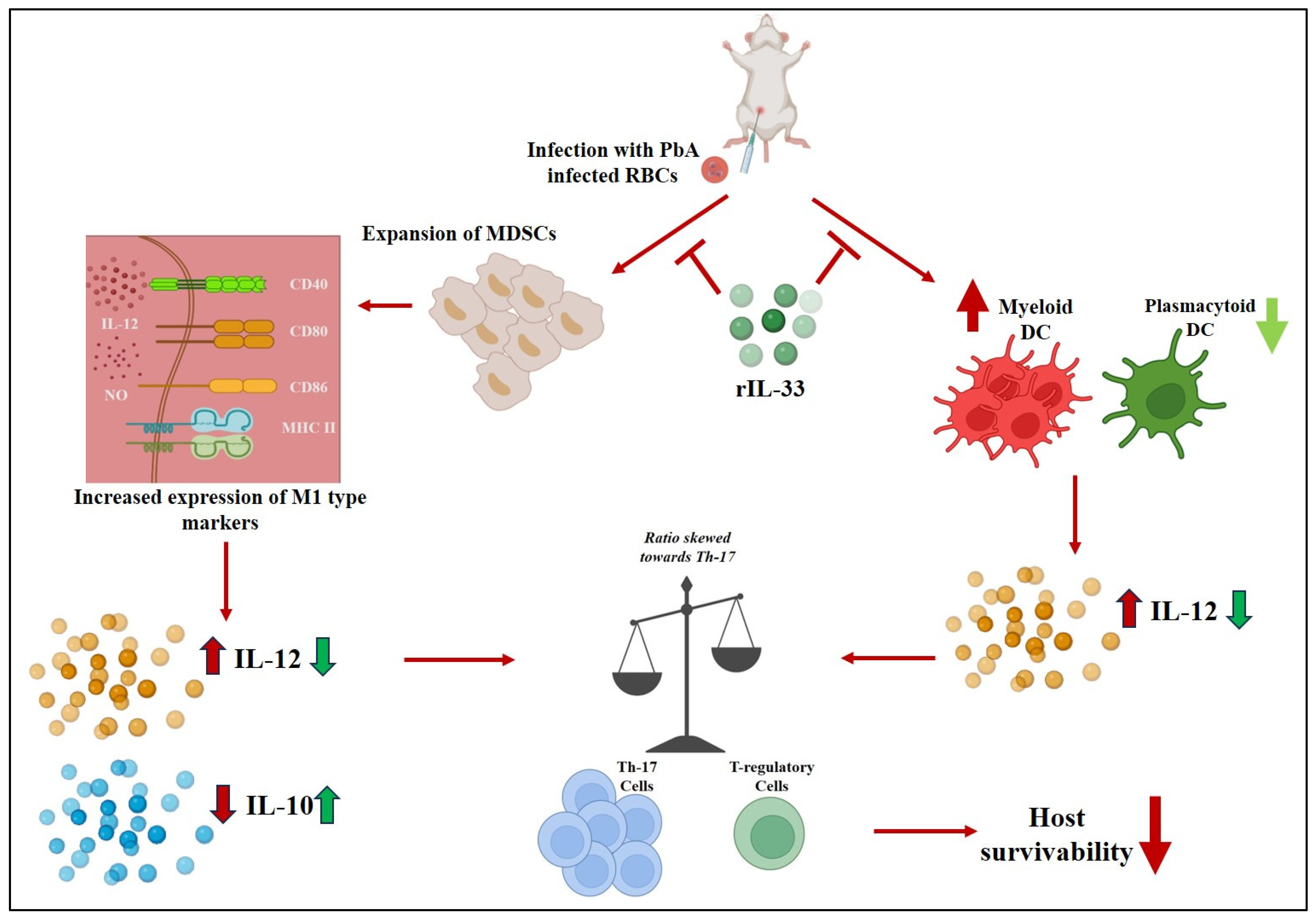 Pathogens 13 00877 g008 Pathogens 13 00877 g008