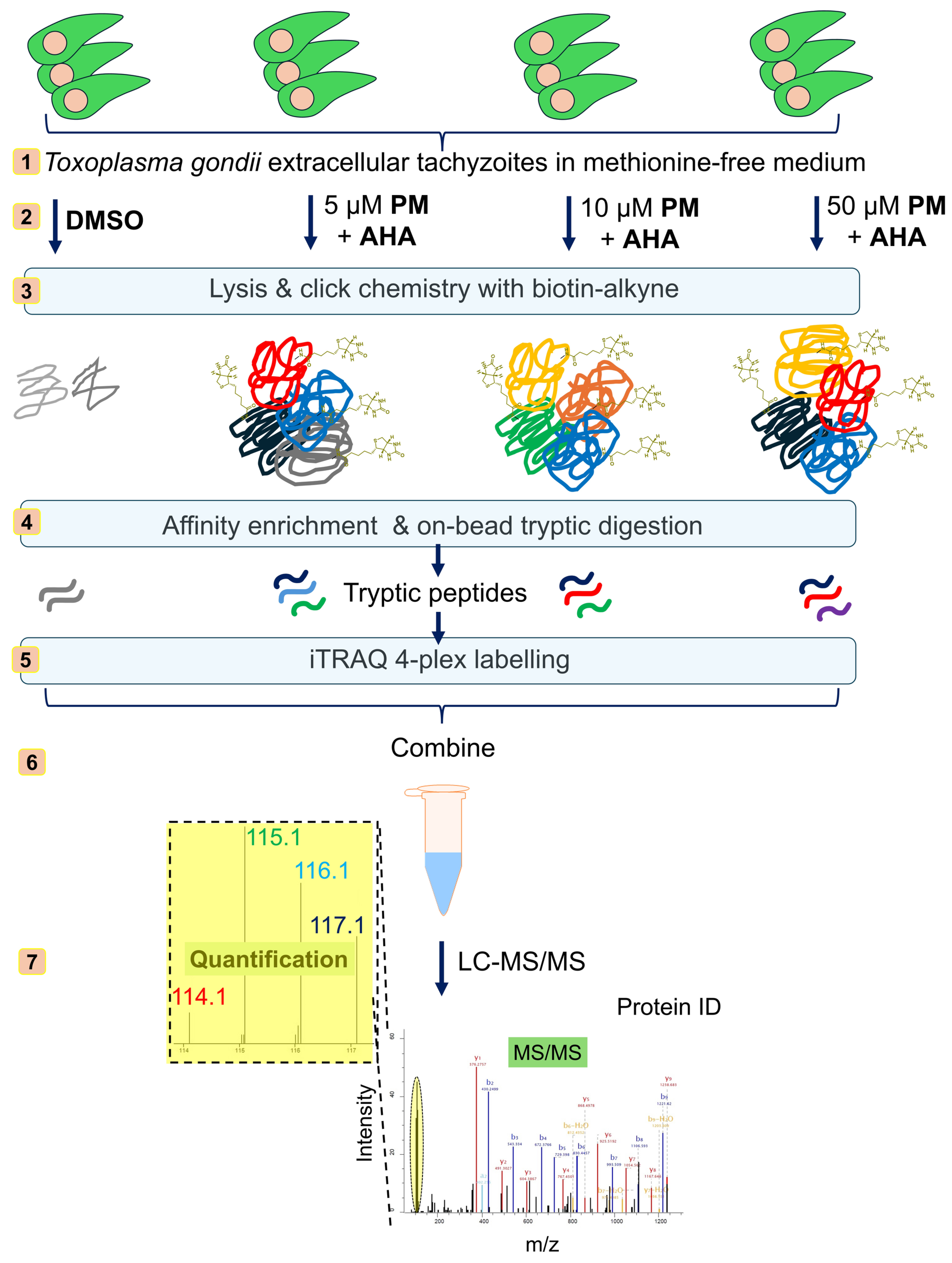 Pathogens 13 00879 g002