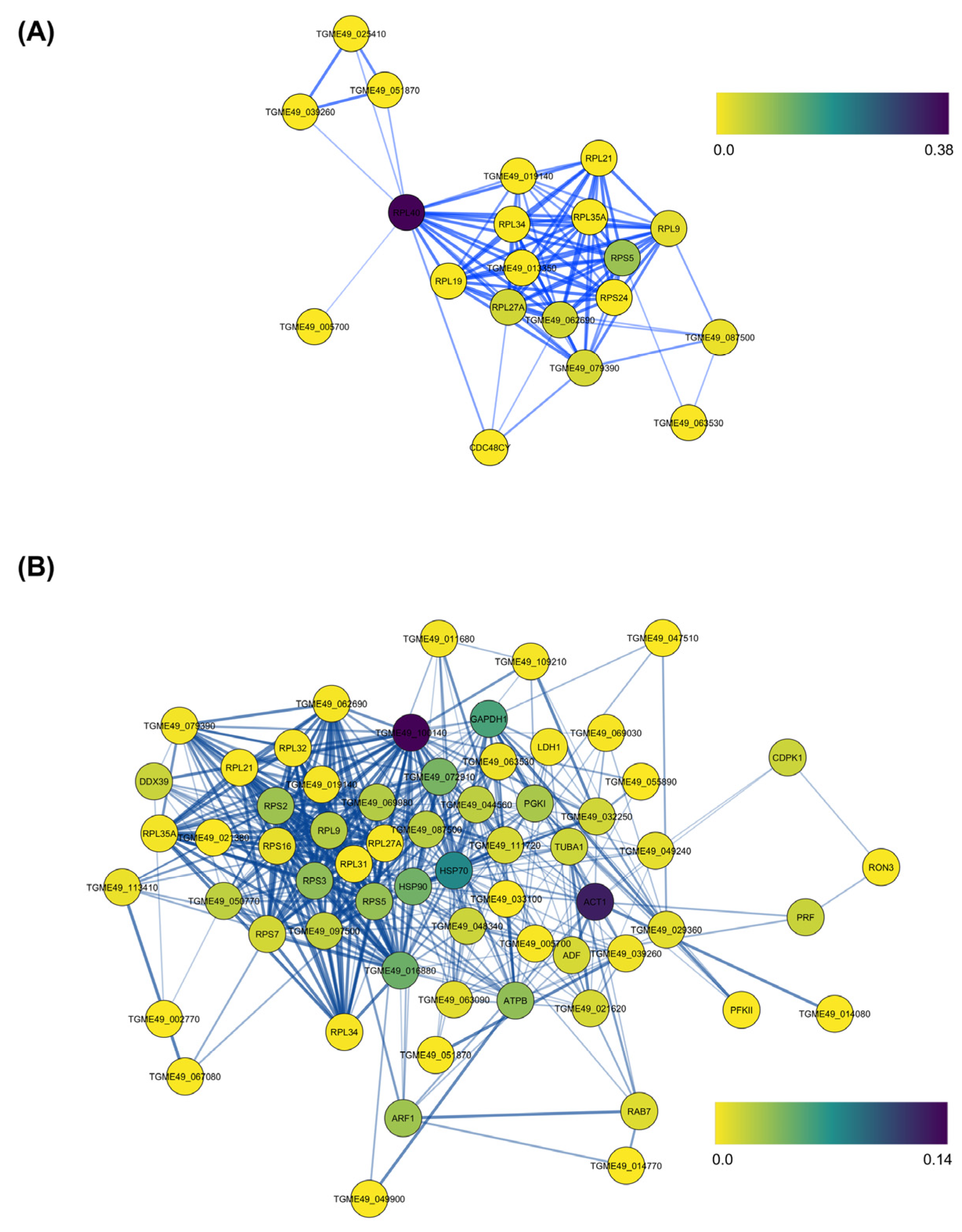 Pathogens 13 00879 g004