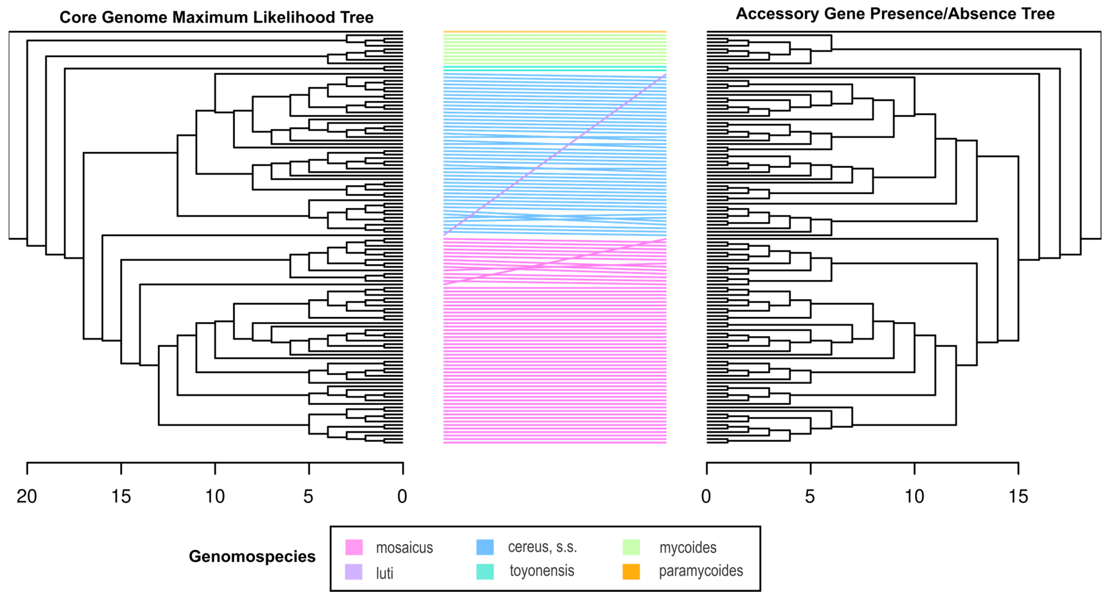 Pathogens 13 00884 g005