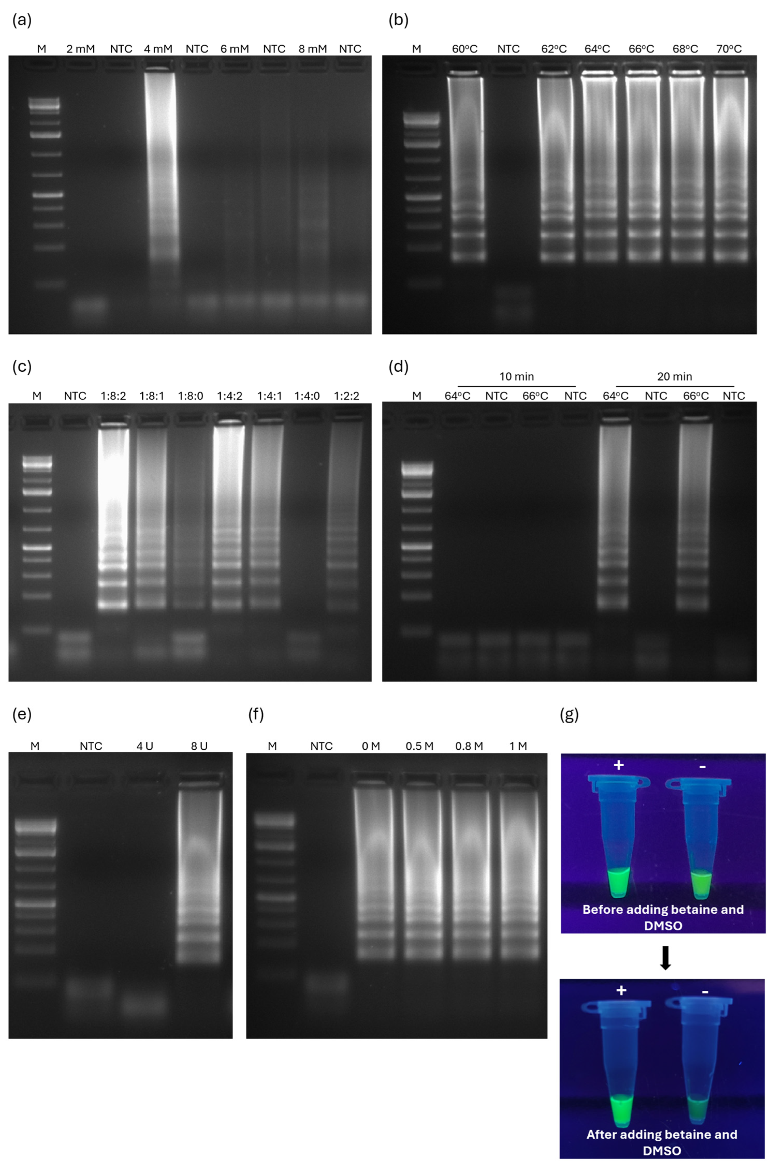 Pathogens 13 00892 g002