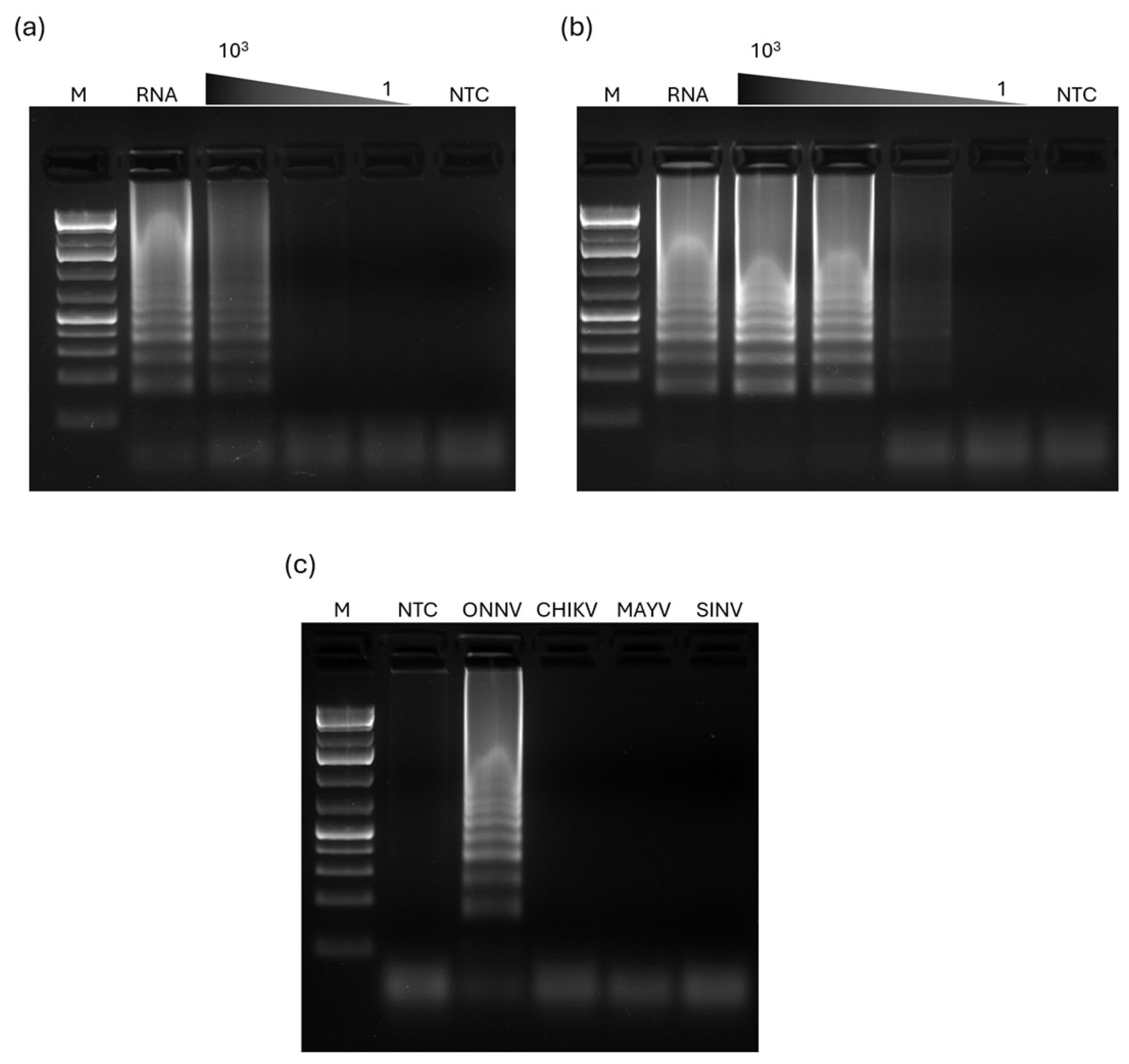 Pathogens 13 00892 g003