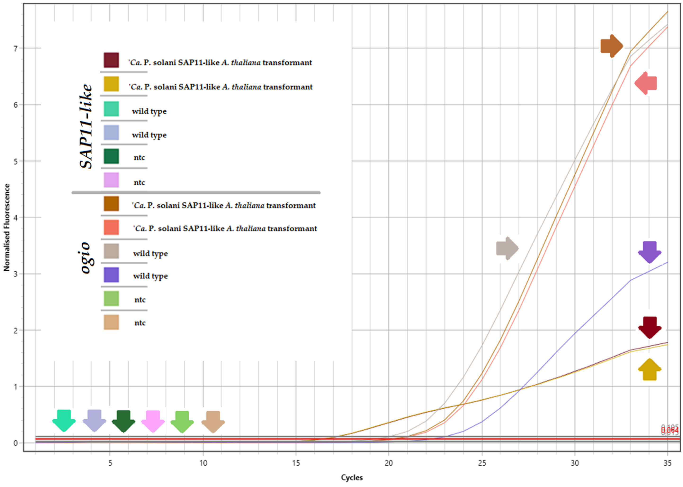 Pathogens 13 00893 g001