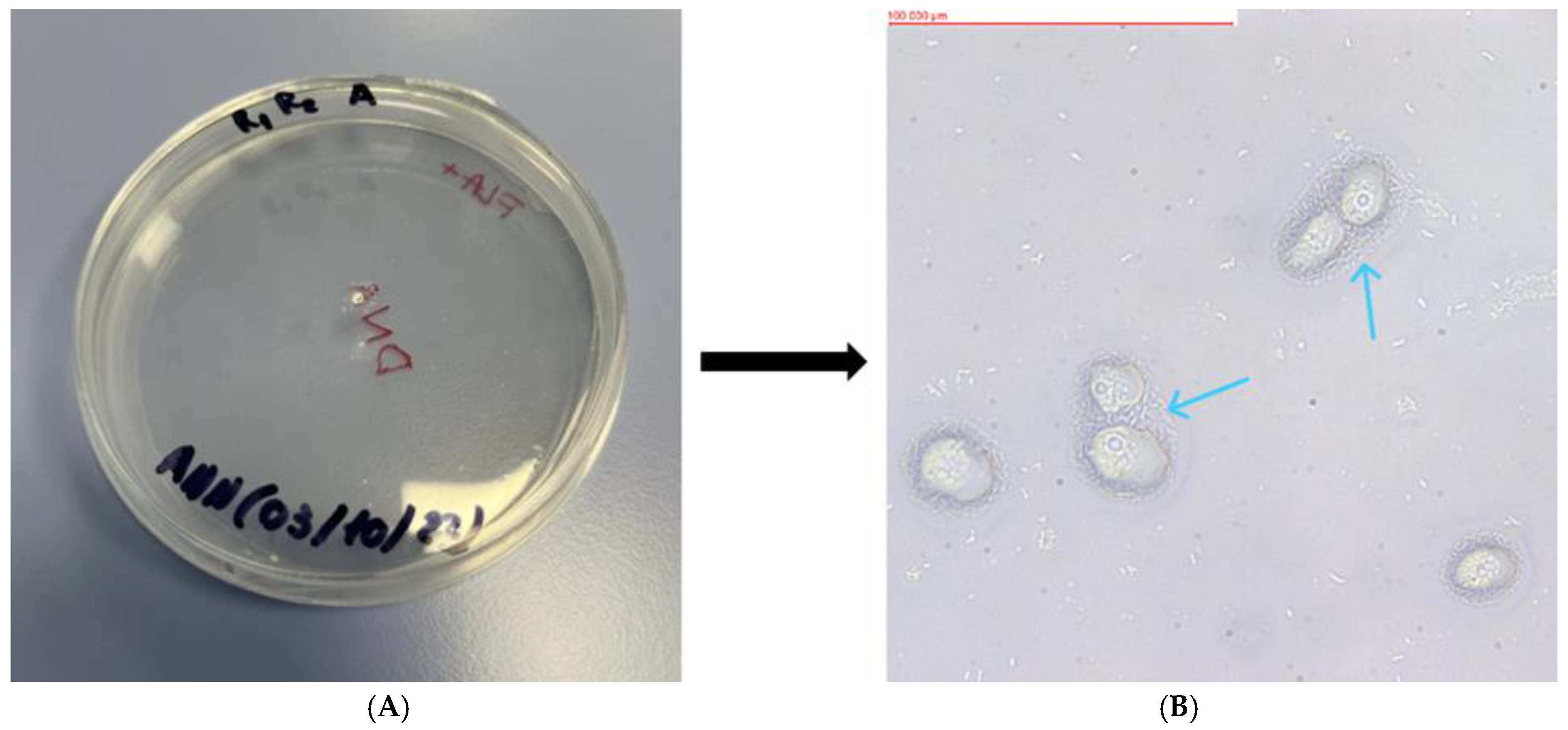 Pathogens 13 00895 g002