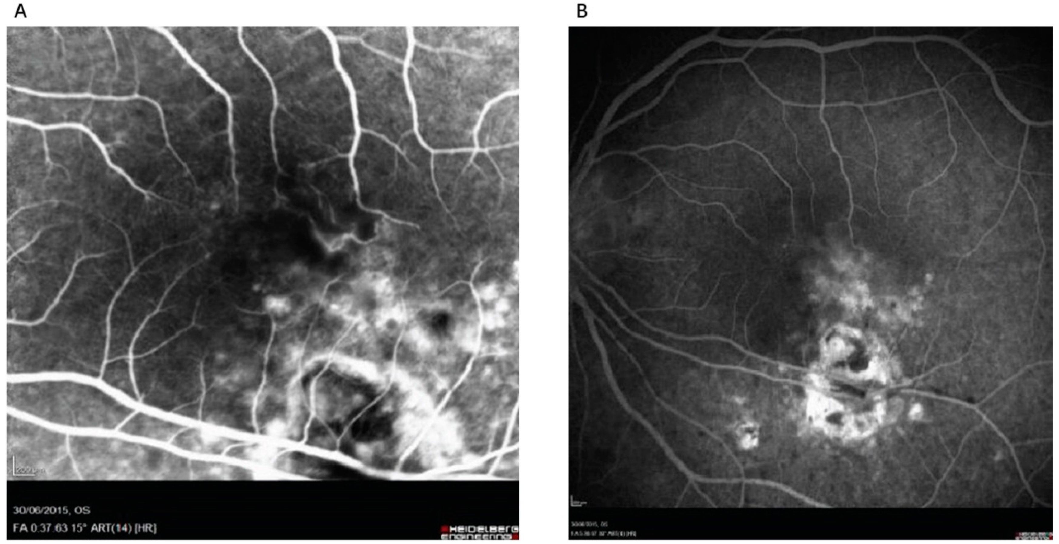 Pathogens 13 00898 g003