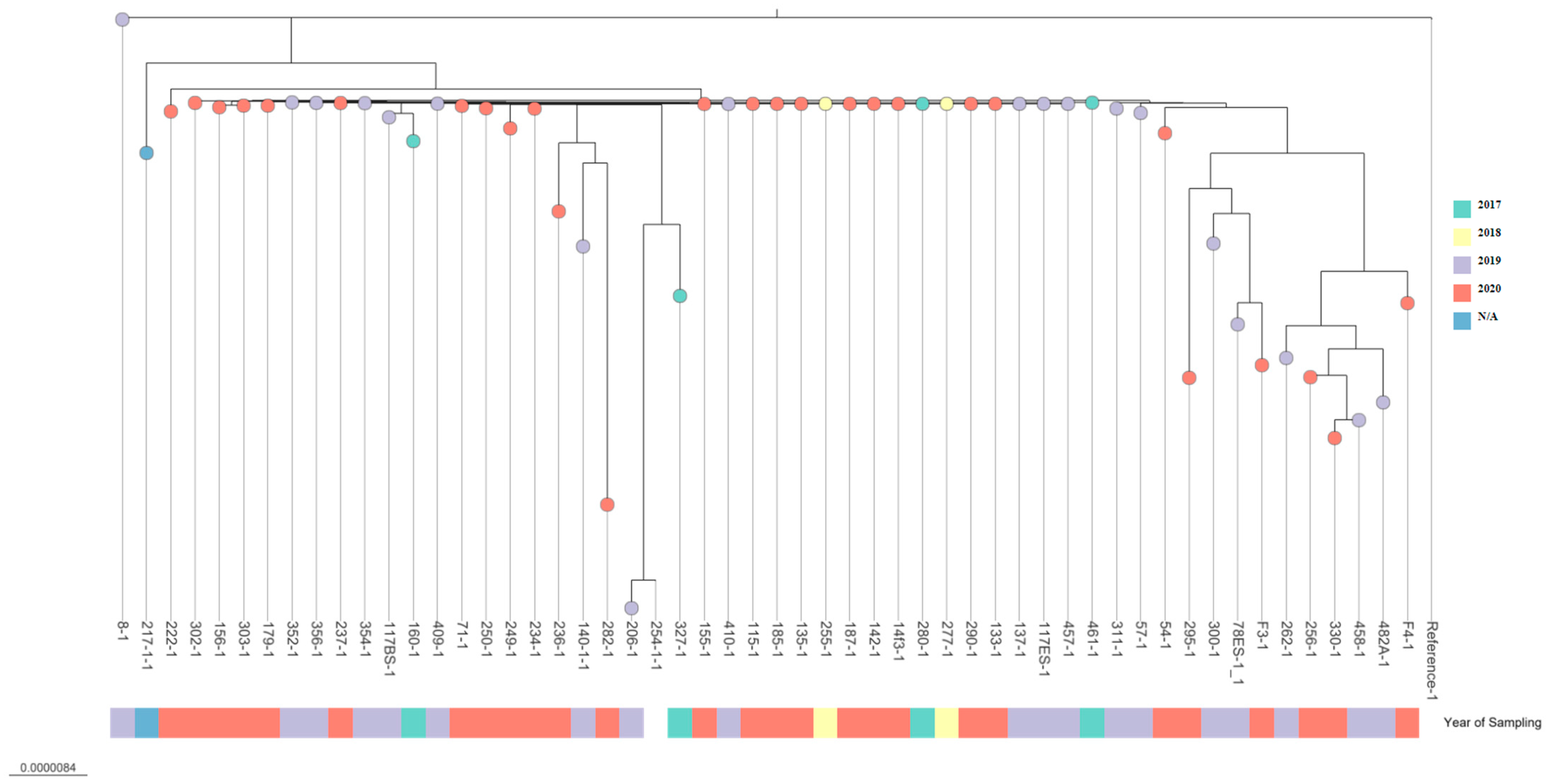 Pathogens 13 00908 g002 Pathogens 13 00908 g002
