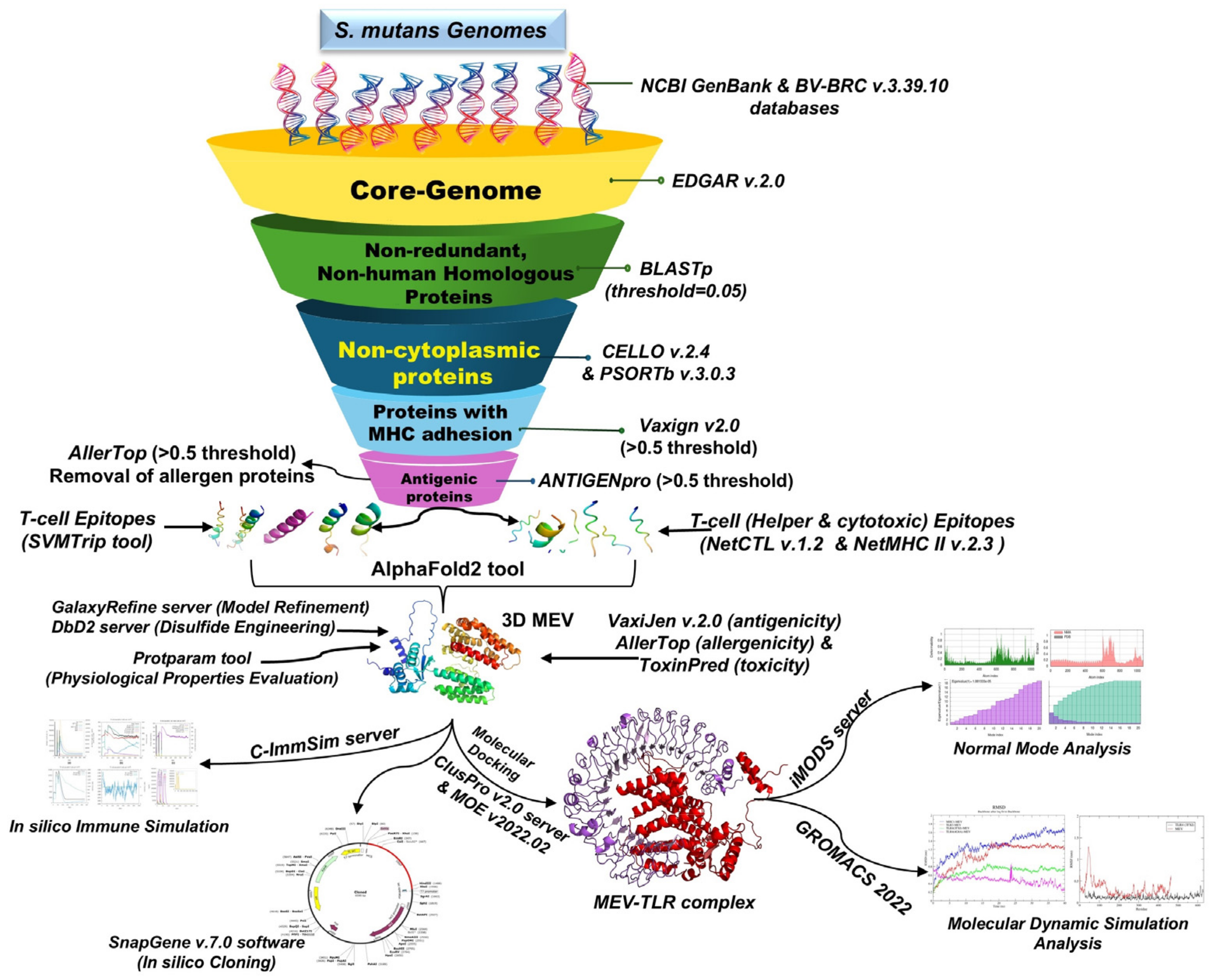 Pathogens 13 00916 g001