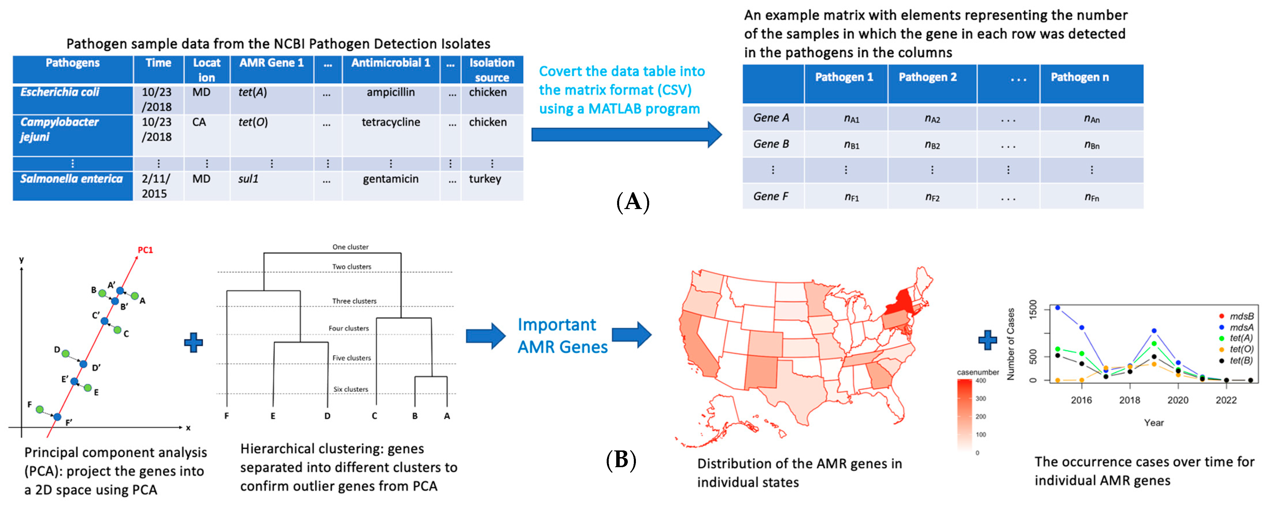 Pathogens 13 00919 g001