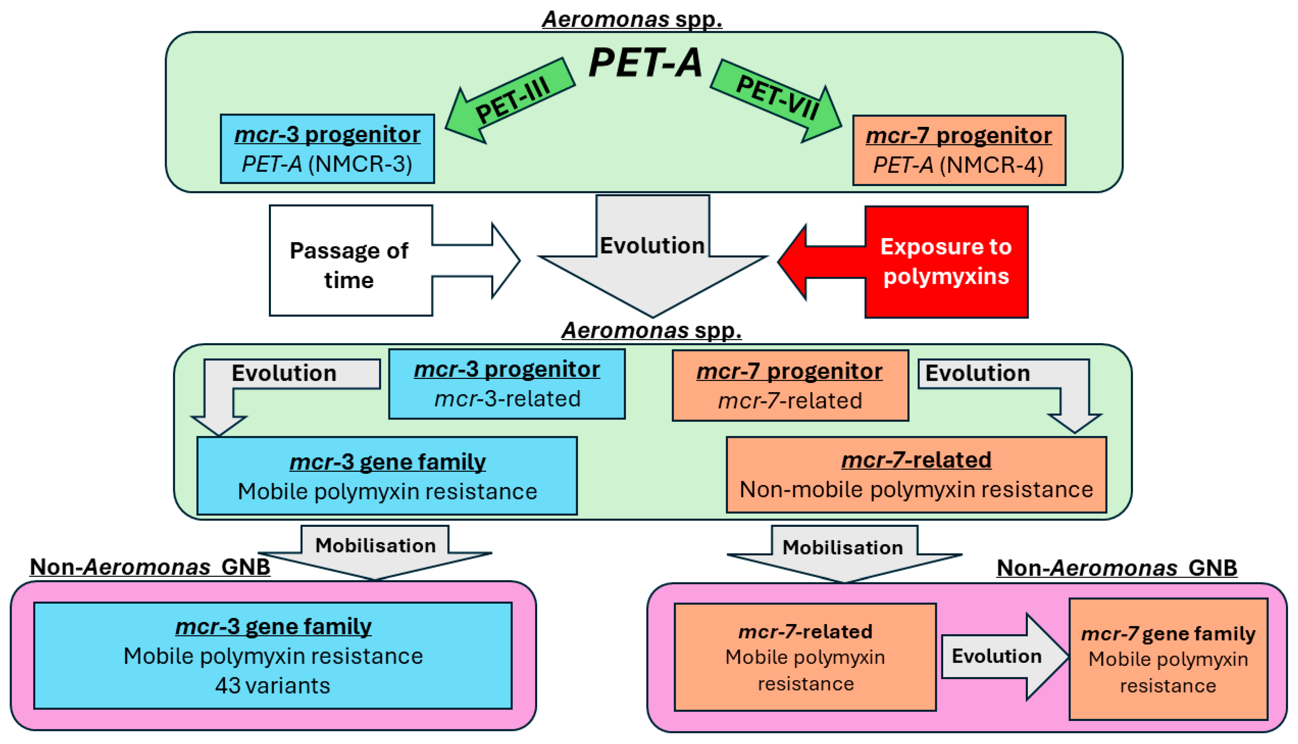 Pathogens 13 00921 g001