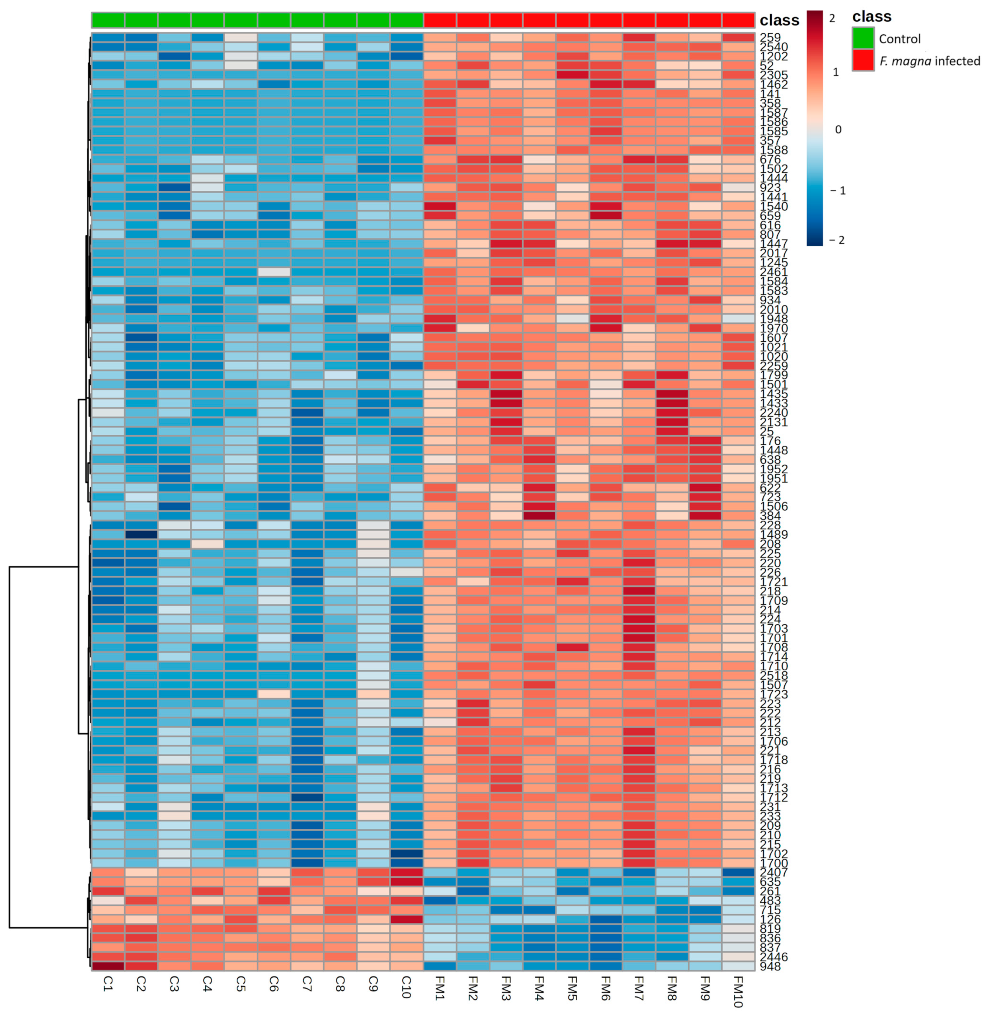 Pathogens 13 00922 g008