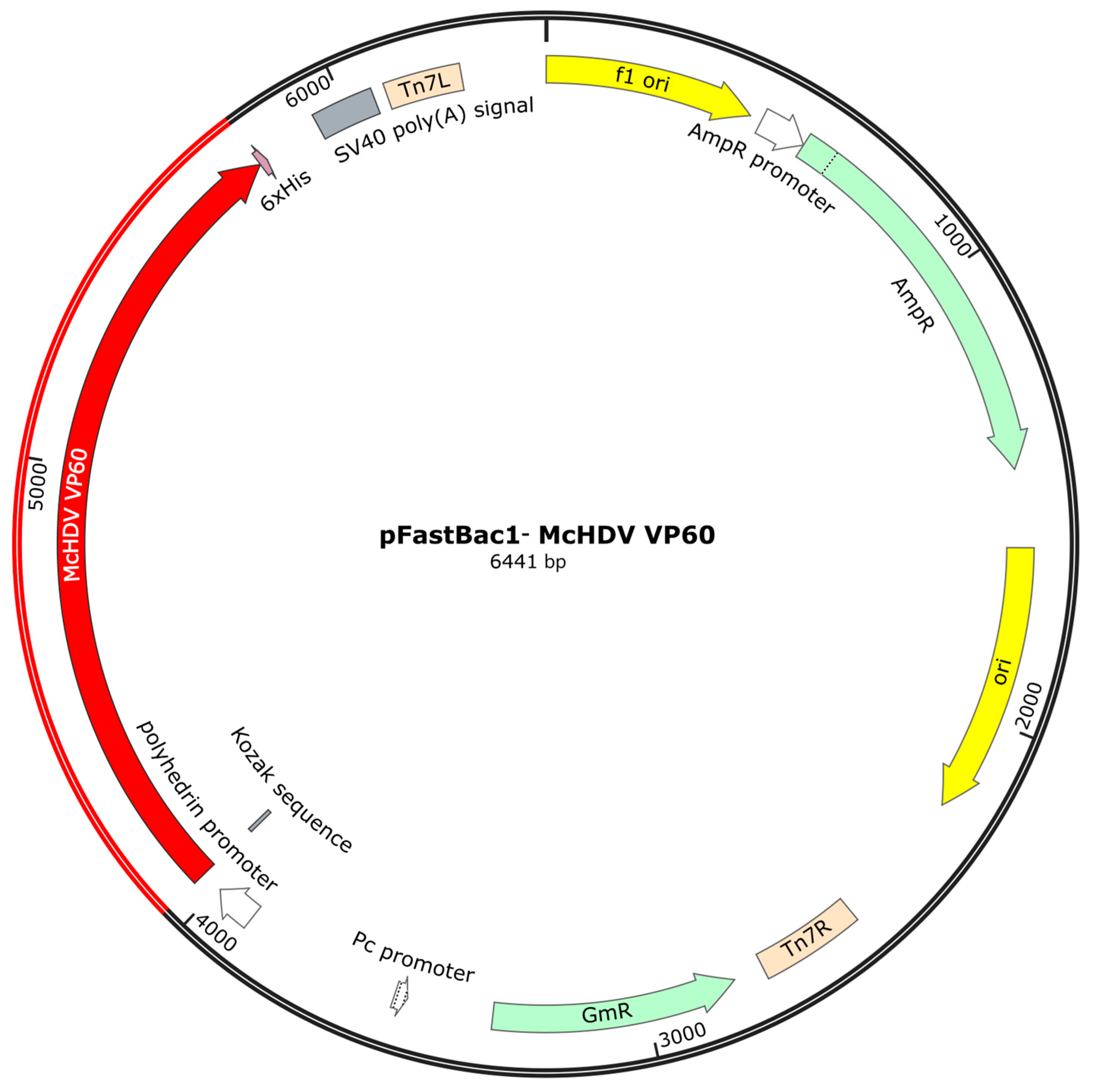 Pathogens 13 00925 g003 Pathogens 13 00925 g003