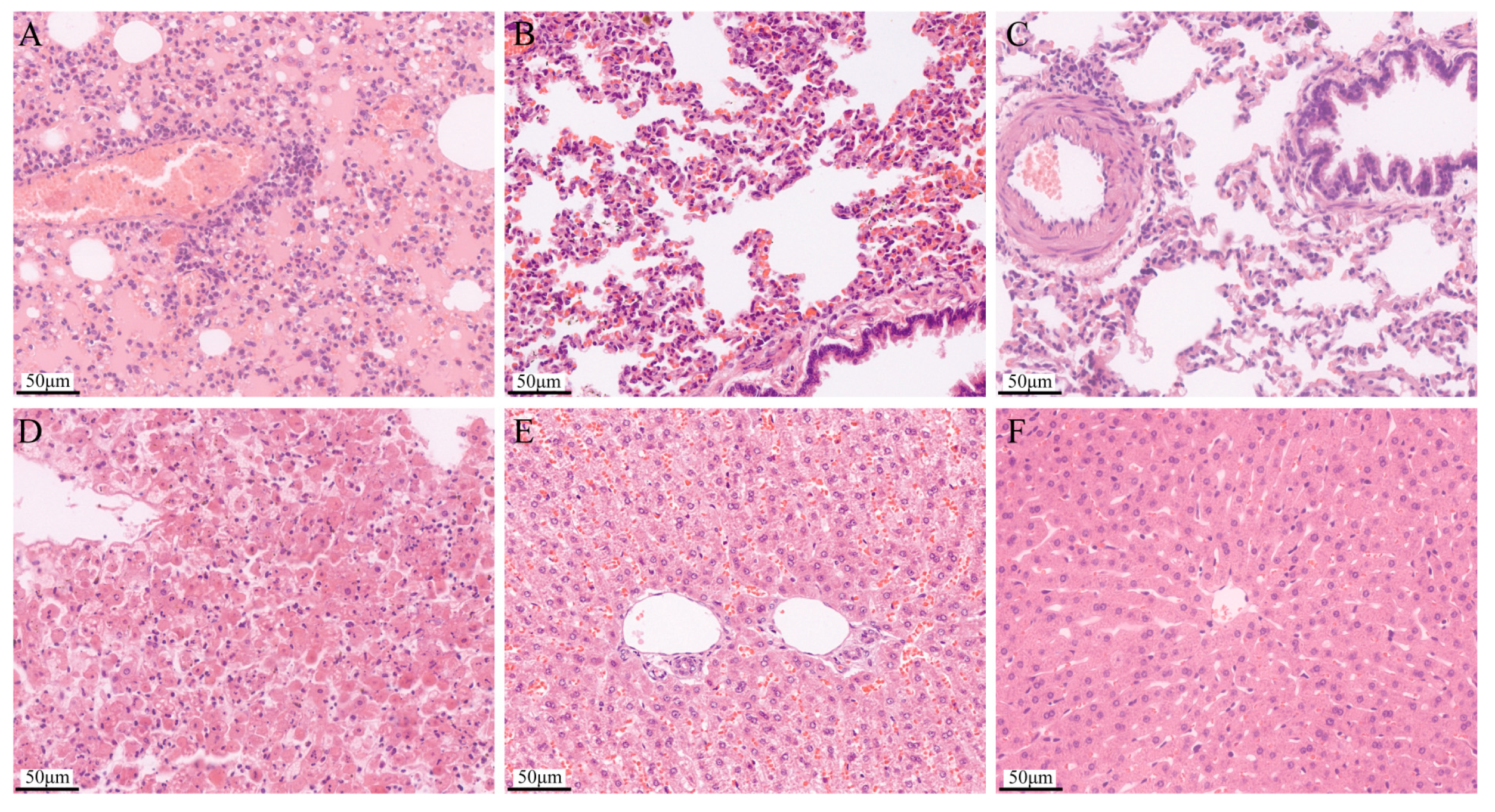 Pathogens 13 00925 g010 Pathogens 13 00925 g010