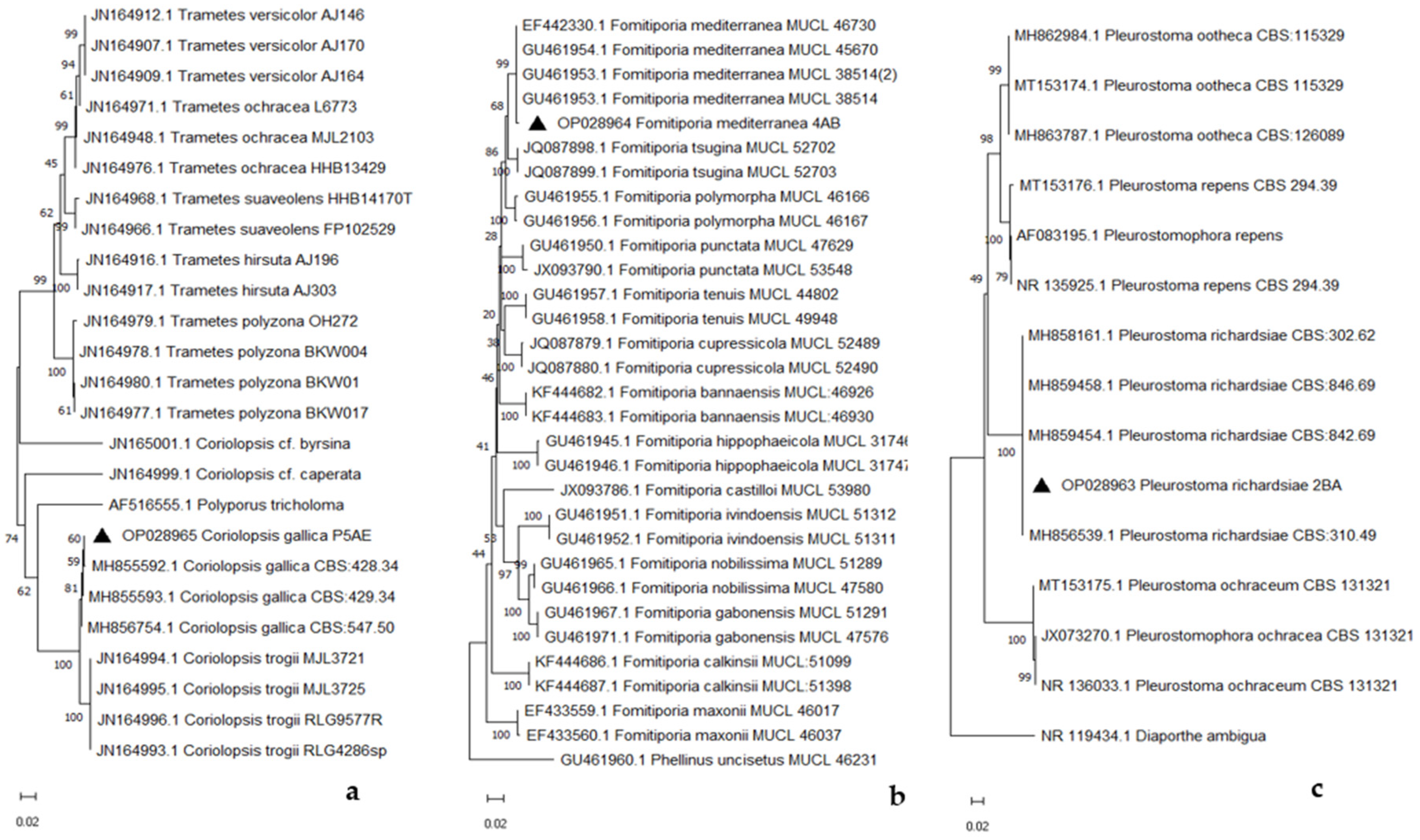 Pathogens 13 00932 g006