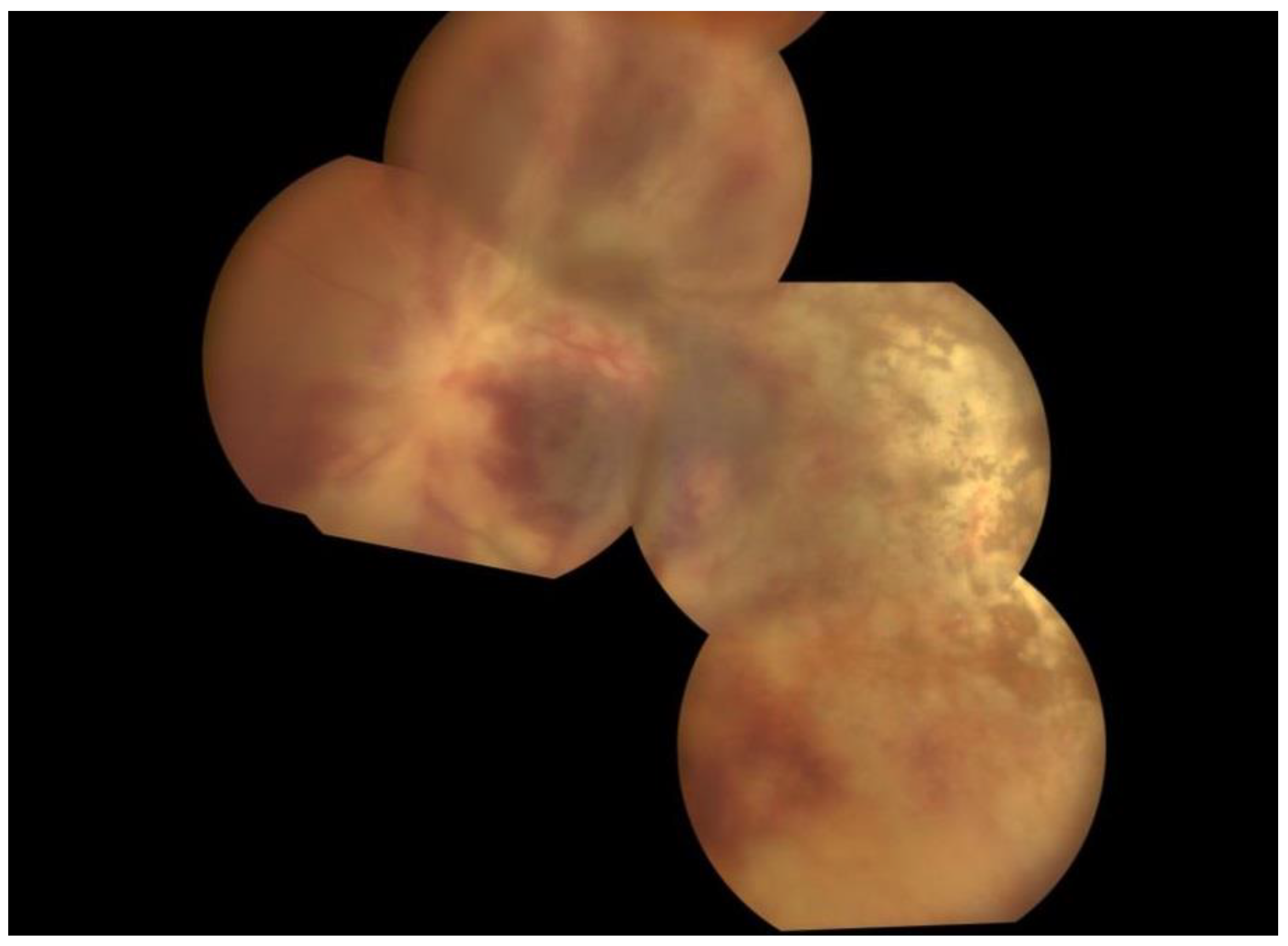 Pathogens 13 00938 g003 Pathogens 13 00938 g003