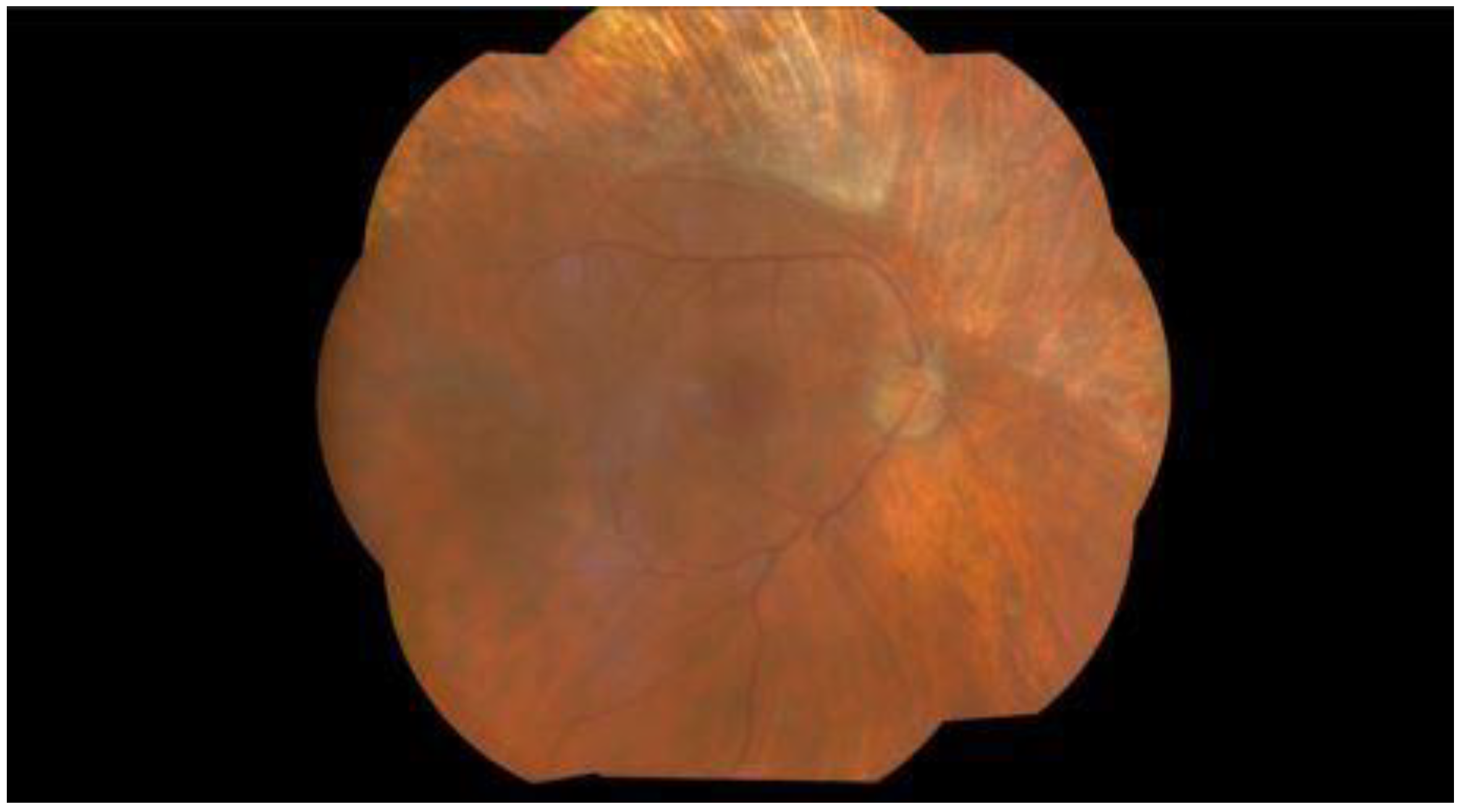 Pathogens 13 00938 g004 Pathogens 13 00938 g004