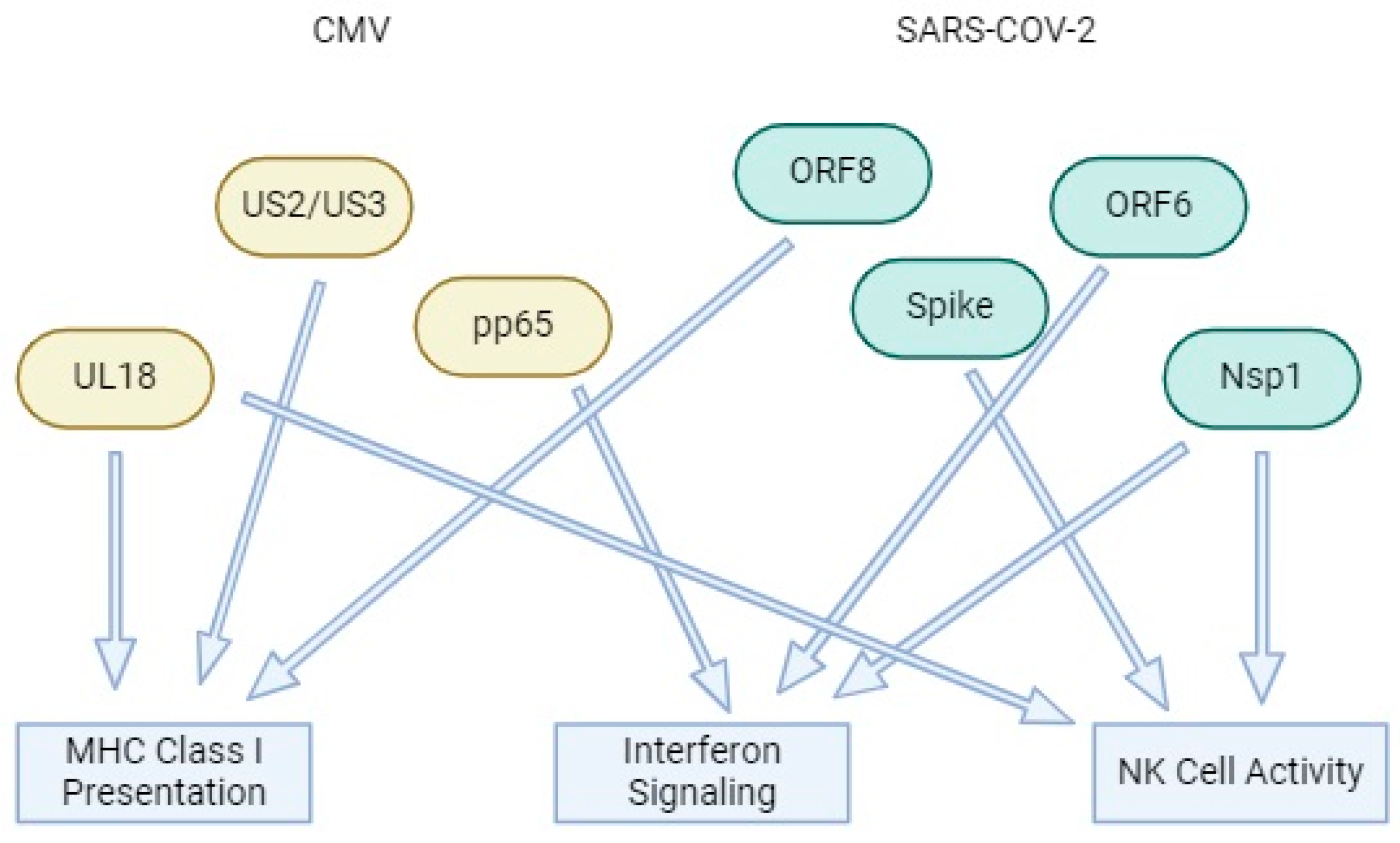 Pathogens 13 00938 g006 Pathogens 13 00938 g006