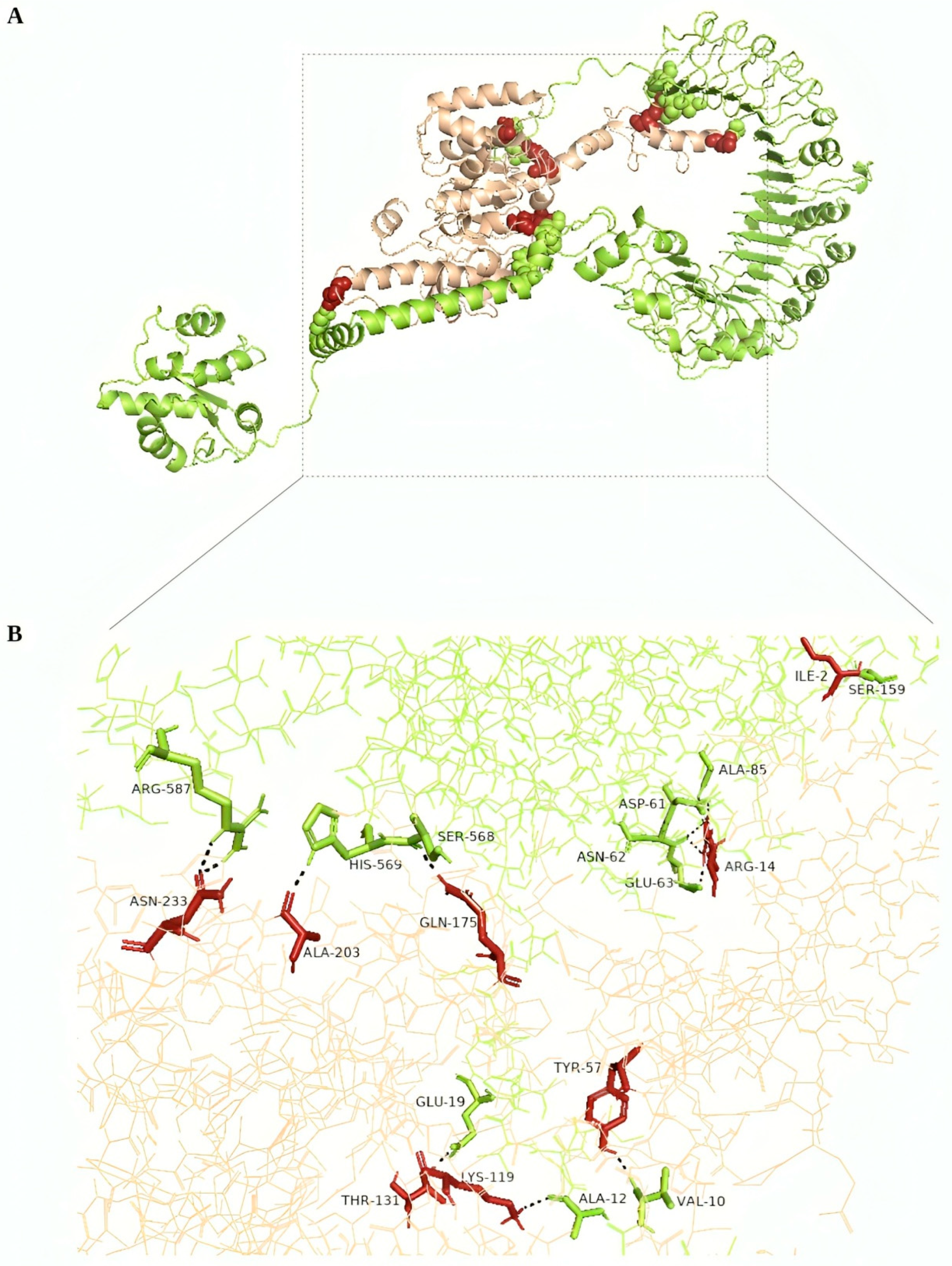 Pathogens 13 00944 g004