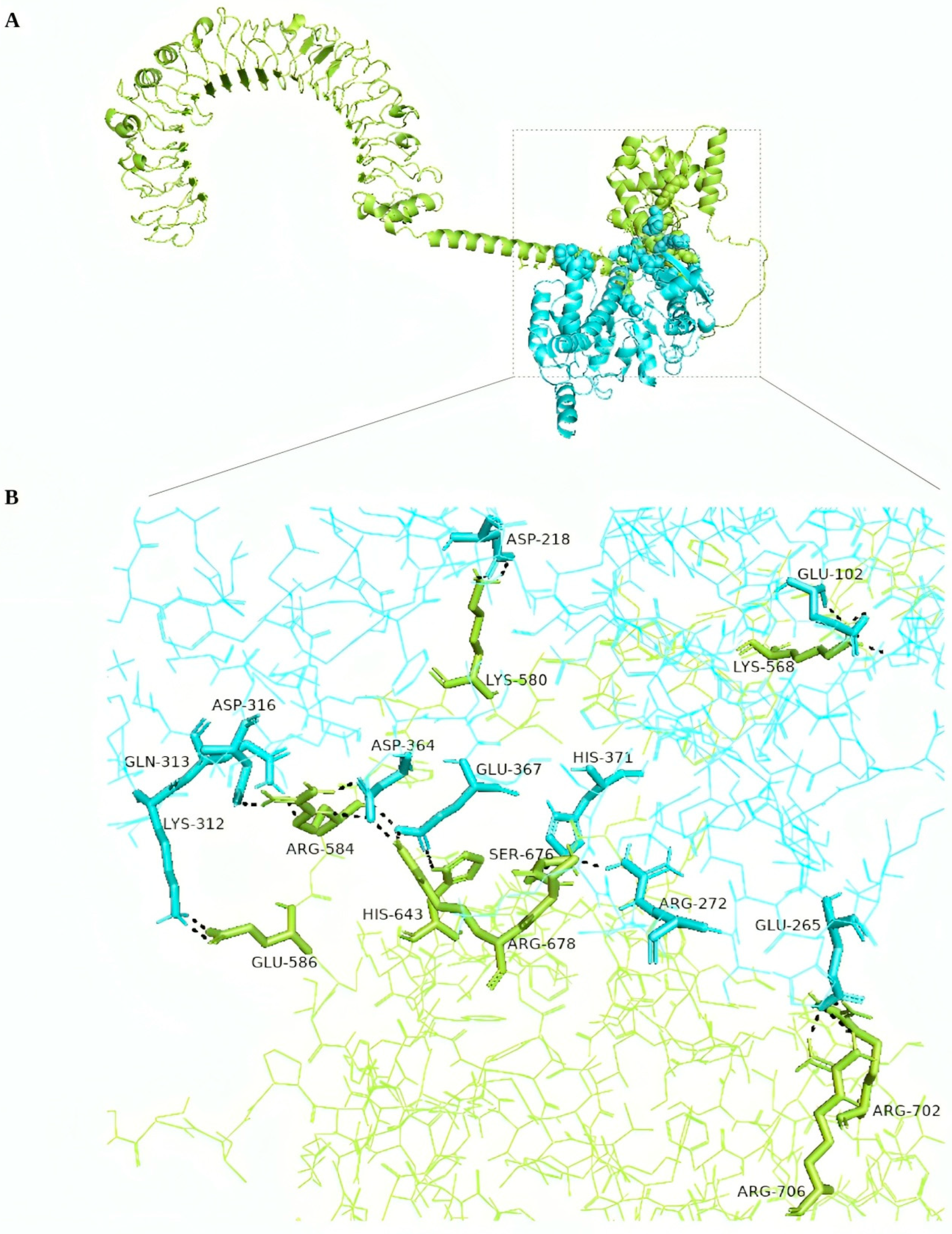 Pathogens 13 00944 g005