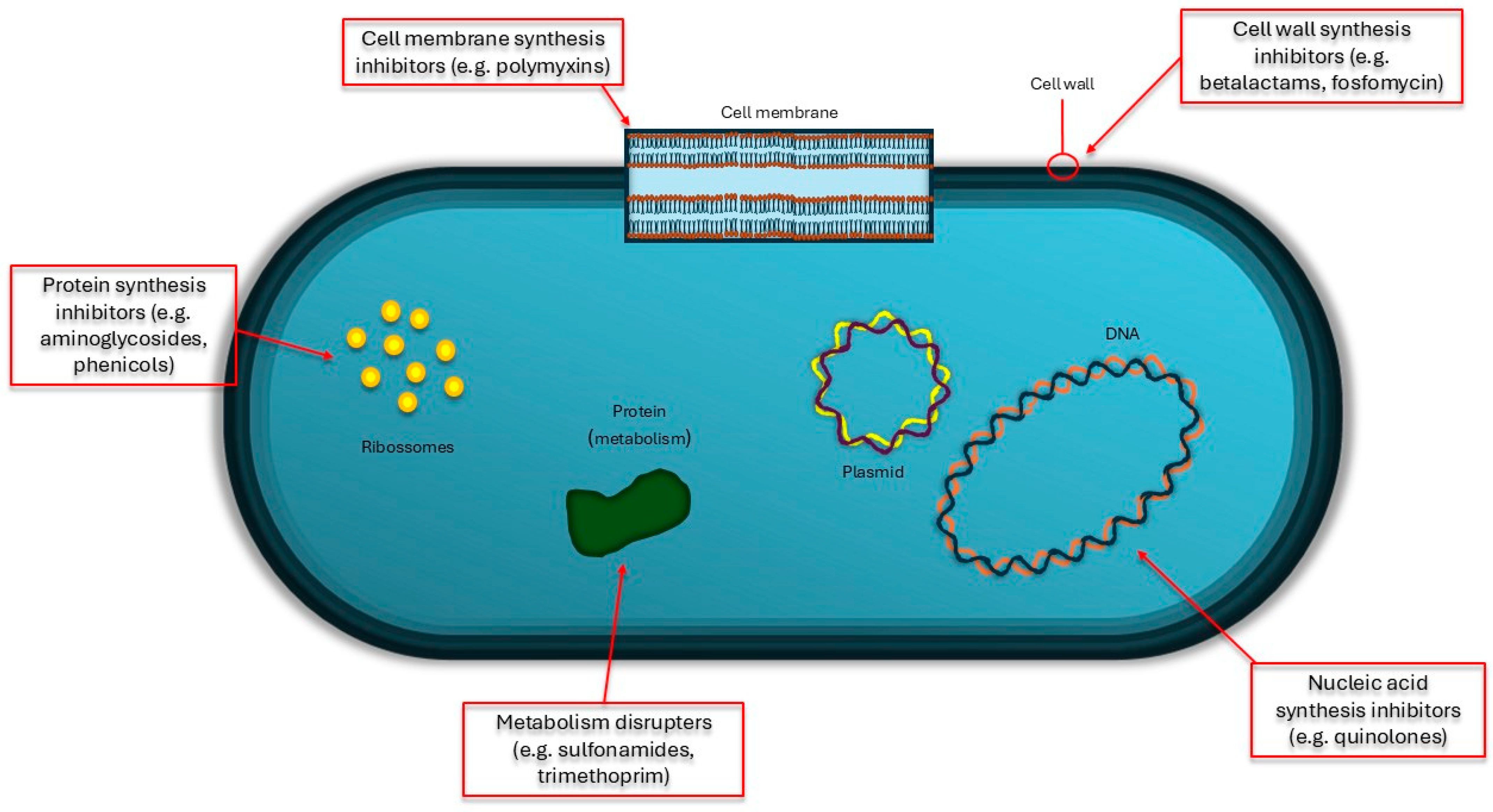 Pathogens 13 00945 g001 Pathogens 13 00945 g001