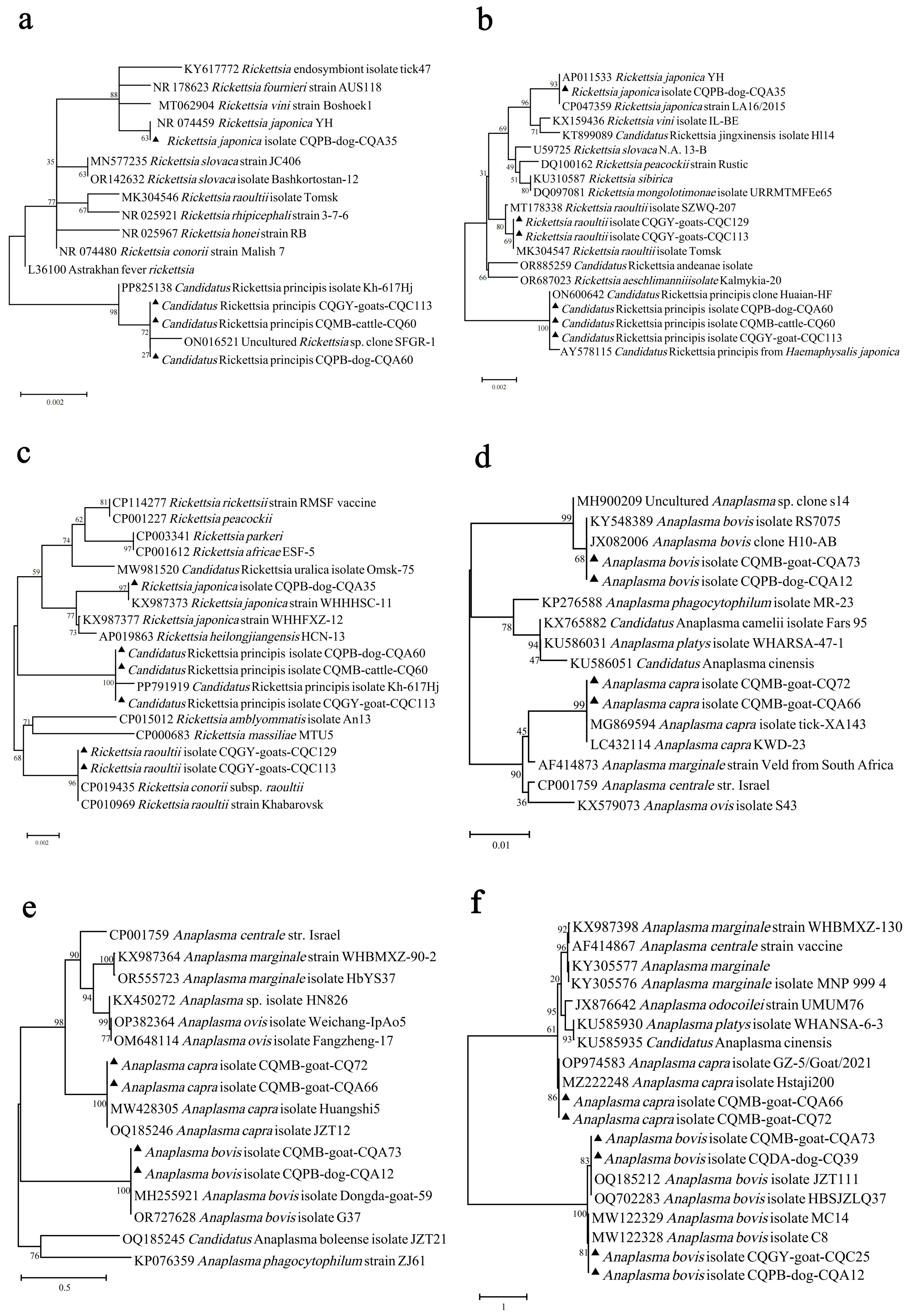 Pathogens 13 00948 g003