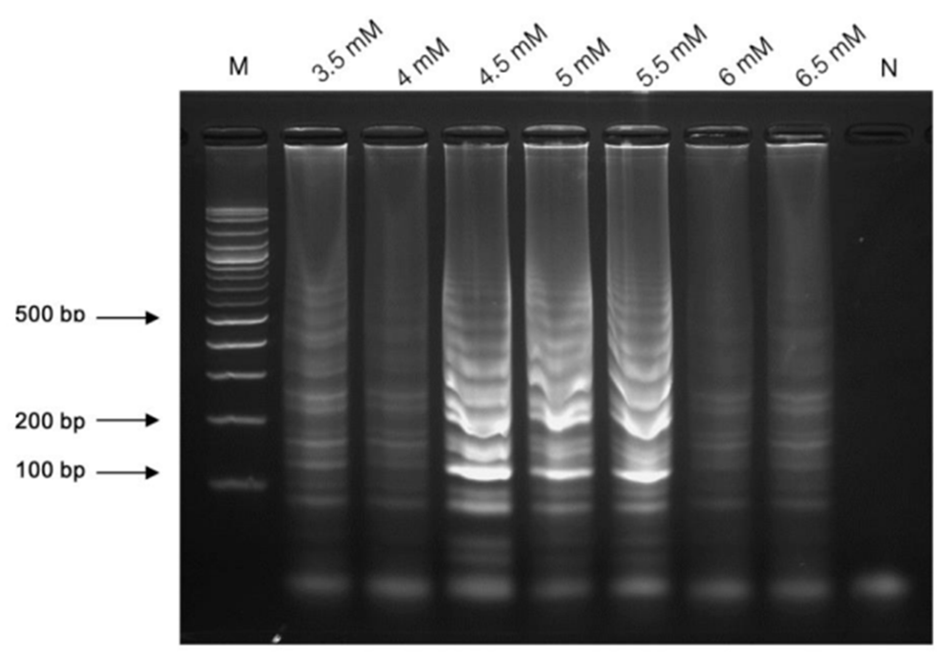 Pathogens 13 00949 g002