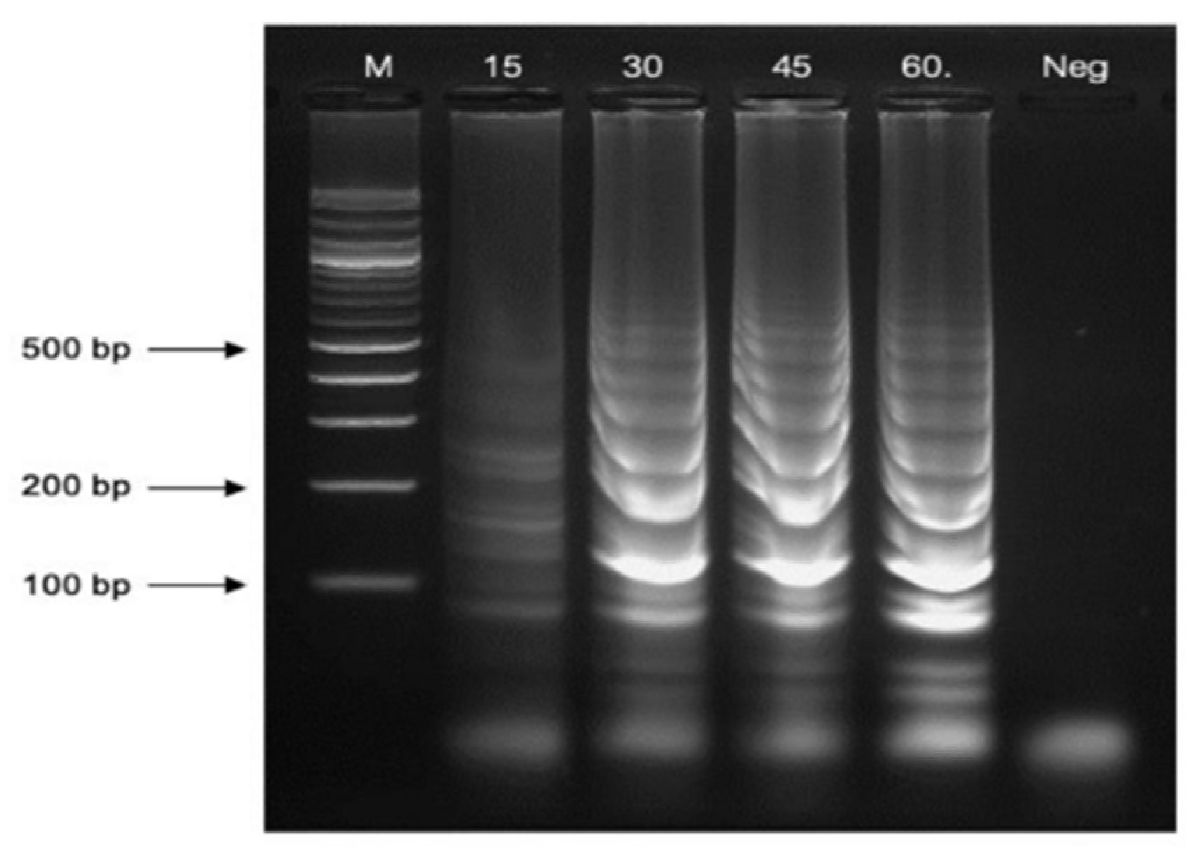 Pathogens 13 00949 g004