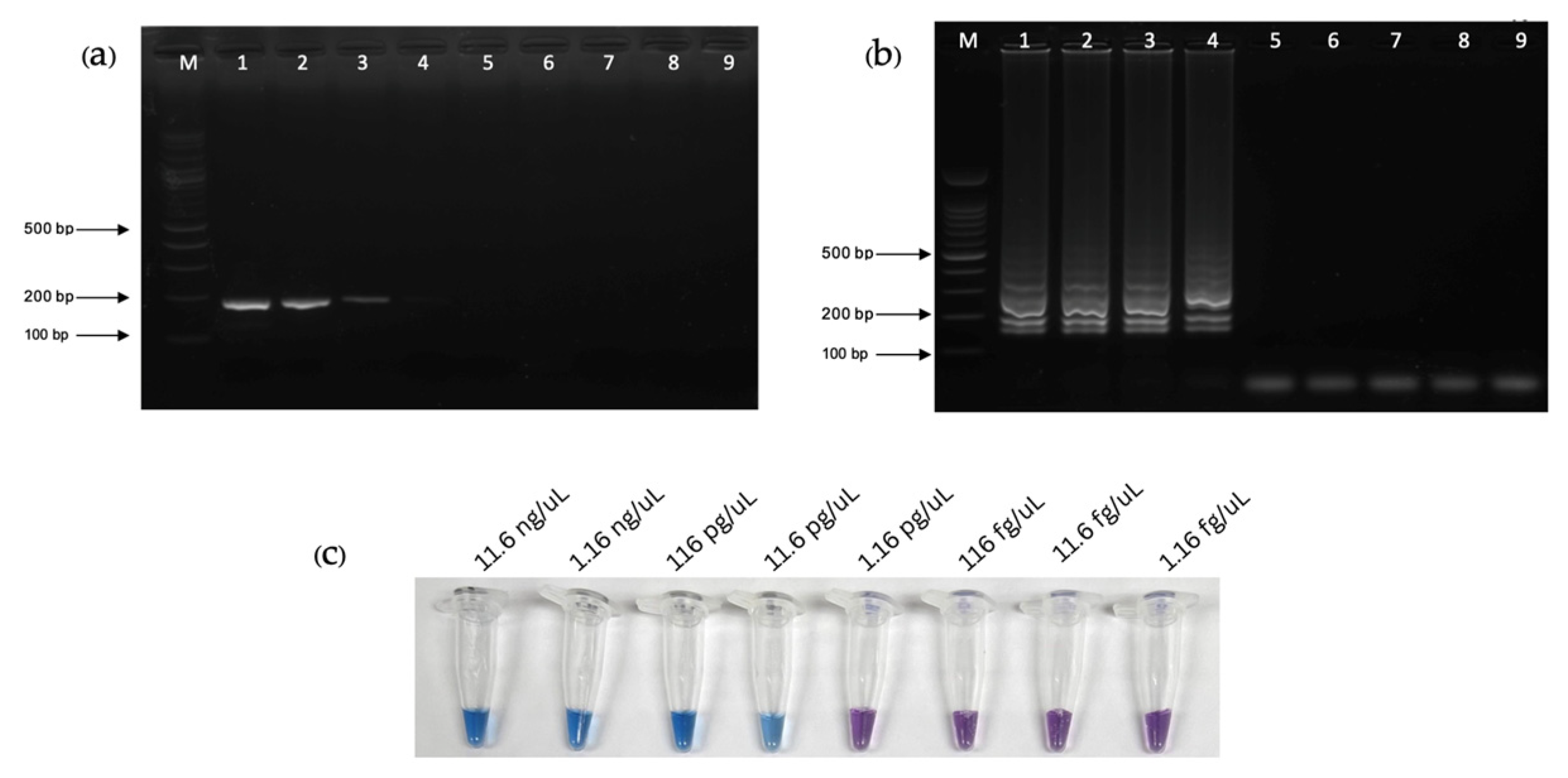 Pathogens 13 00949 g006