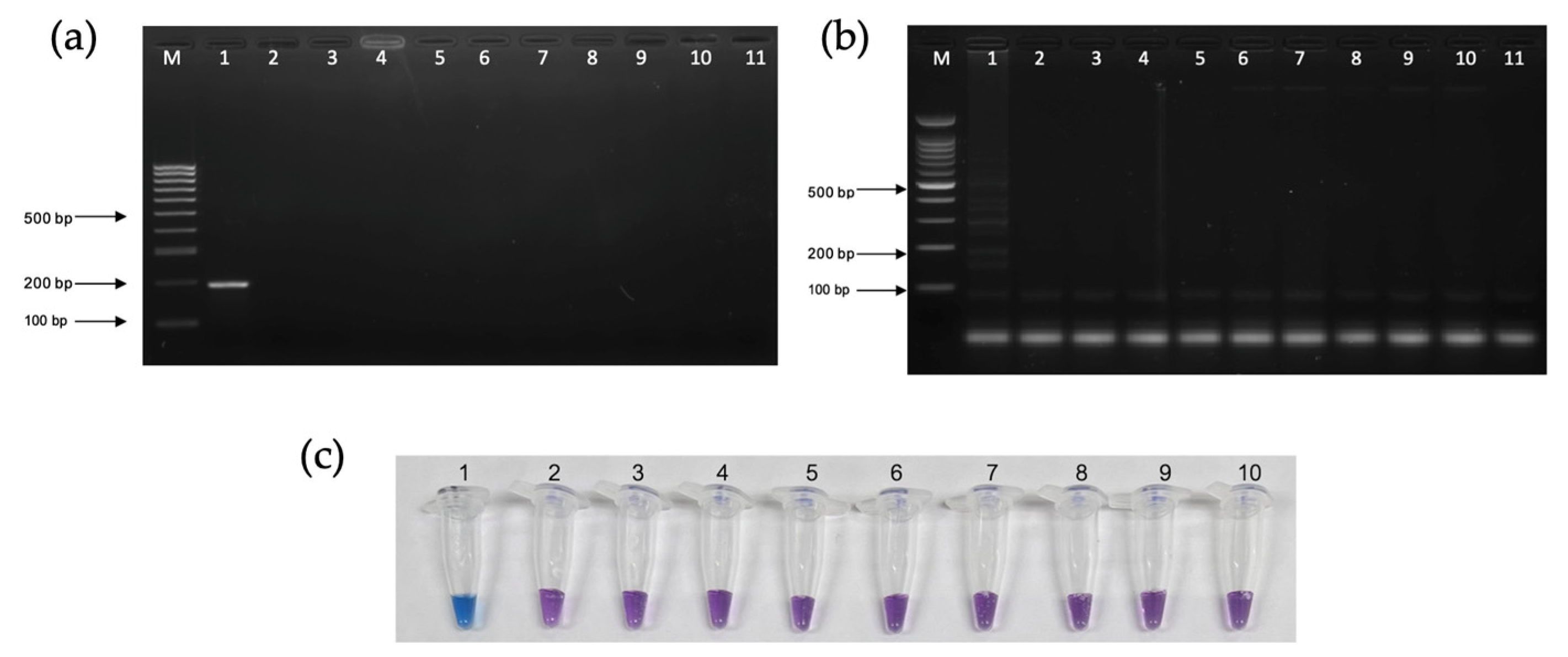 Pathogens 13 00949 g007