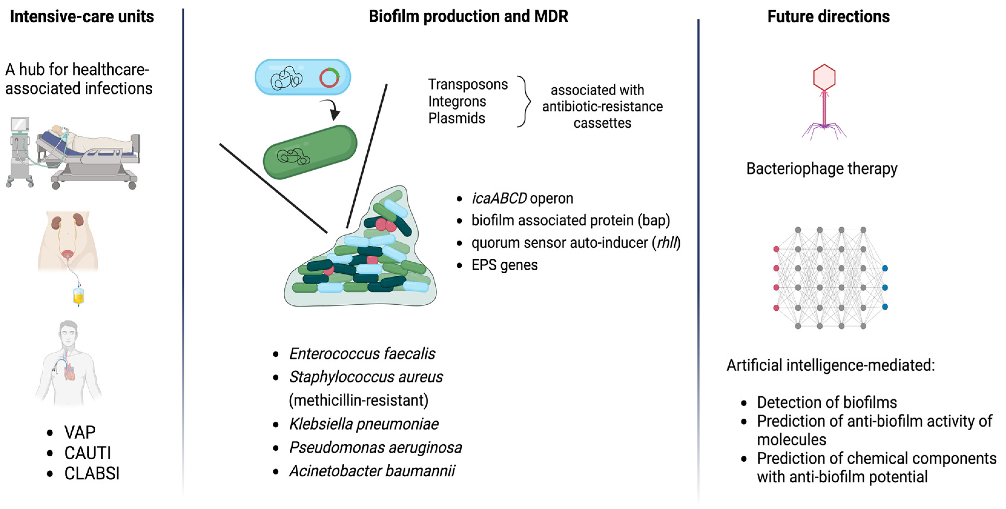 Pathogens 13 00954 g001