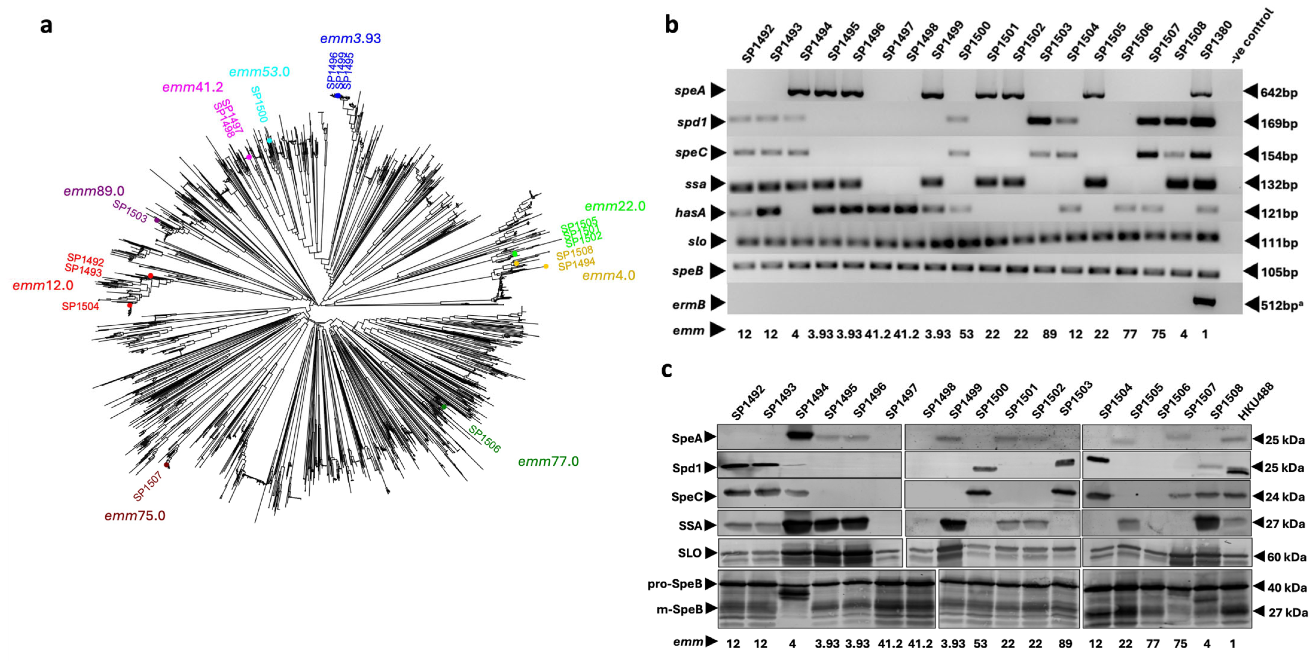 Pathogens 13 00956 g001