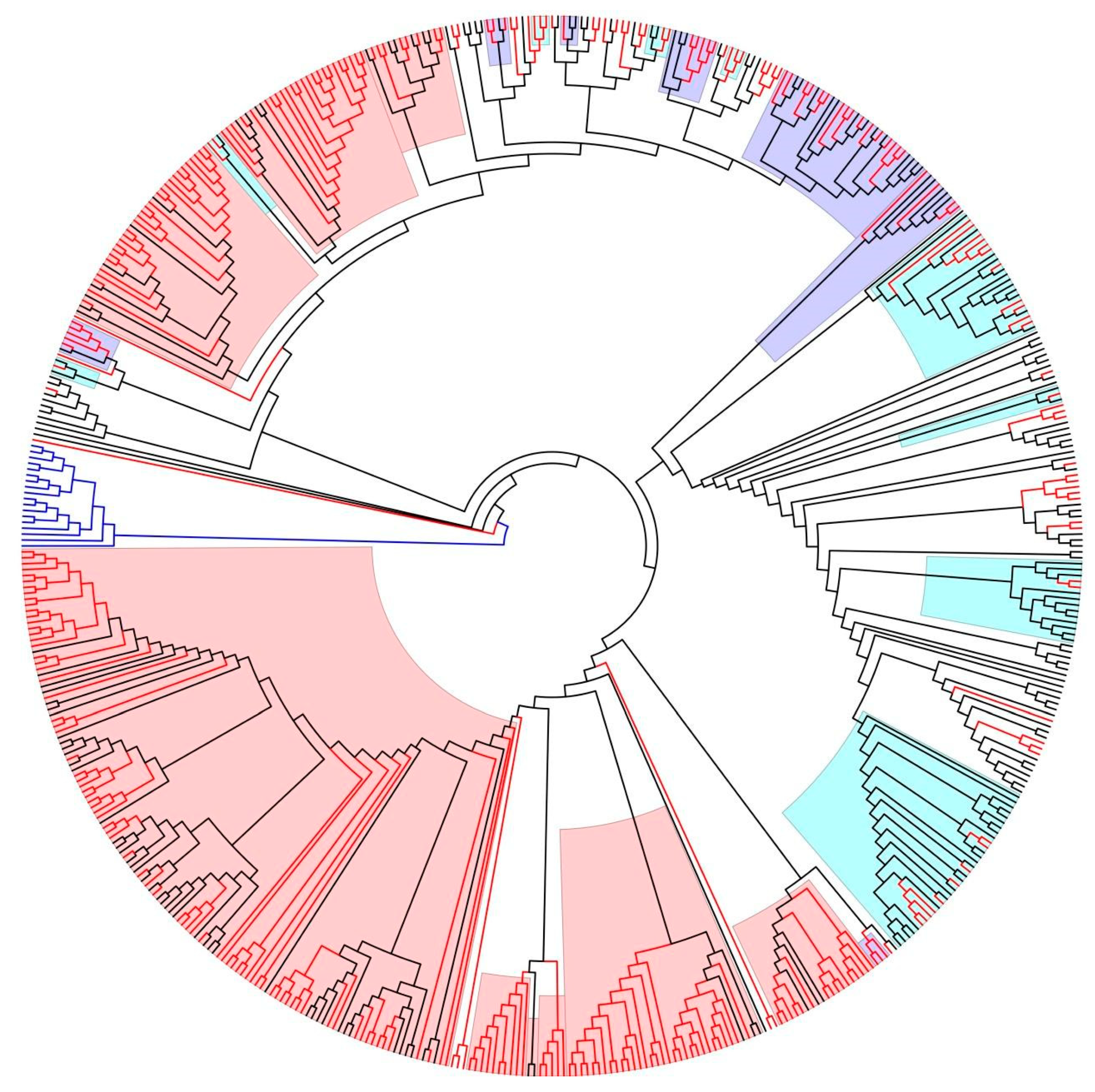 Pathogens 13 00960 g001